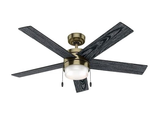 Hunter Claudette 2-Light 52" Indoor Ceiling Fan in Modern Brass