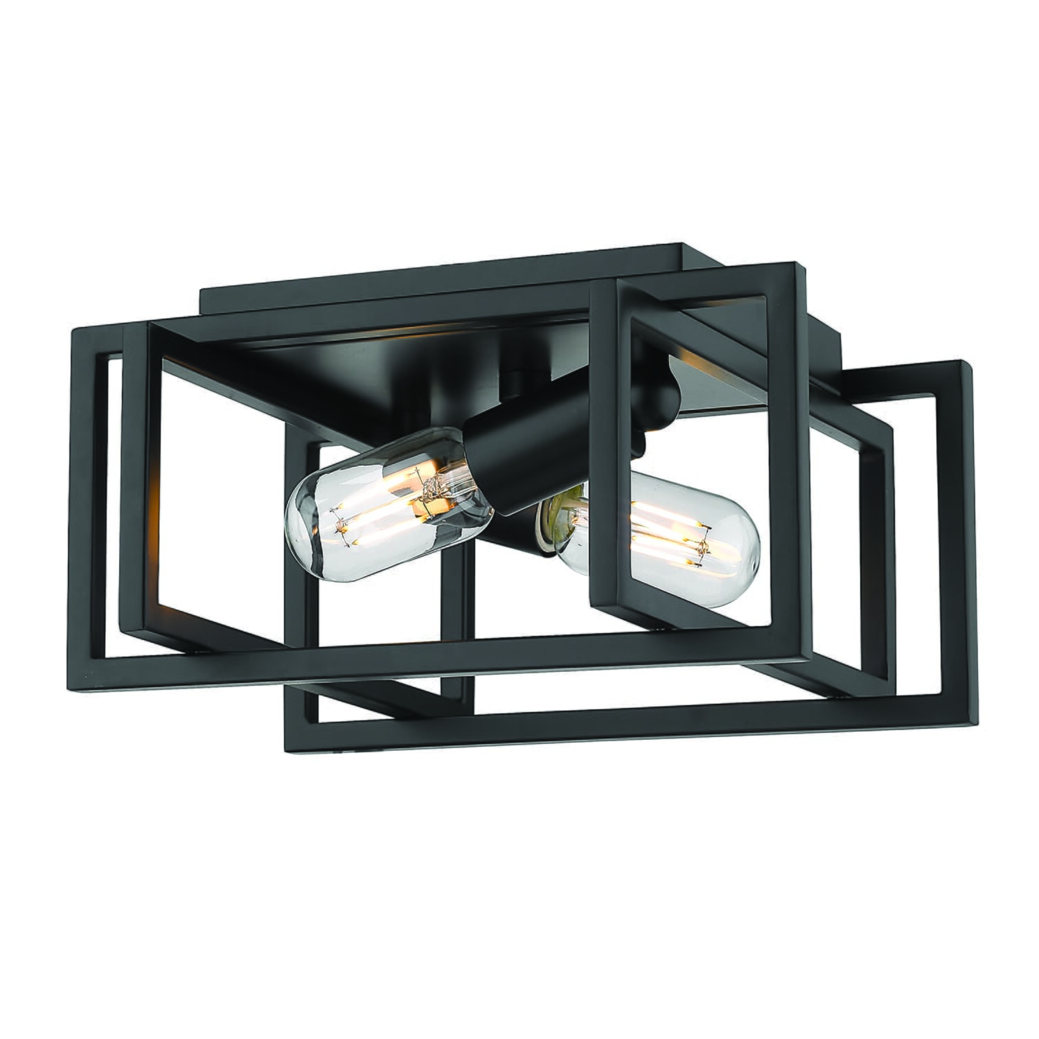 Golden Tribeca 2-Light 12" Ceiling Light in Black