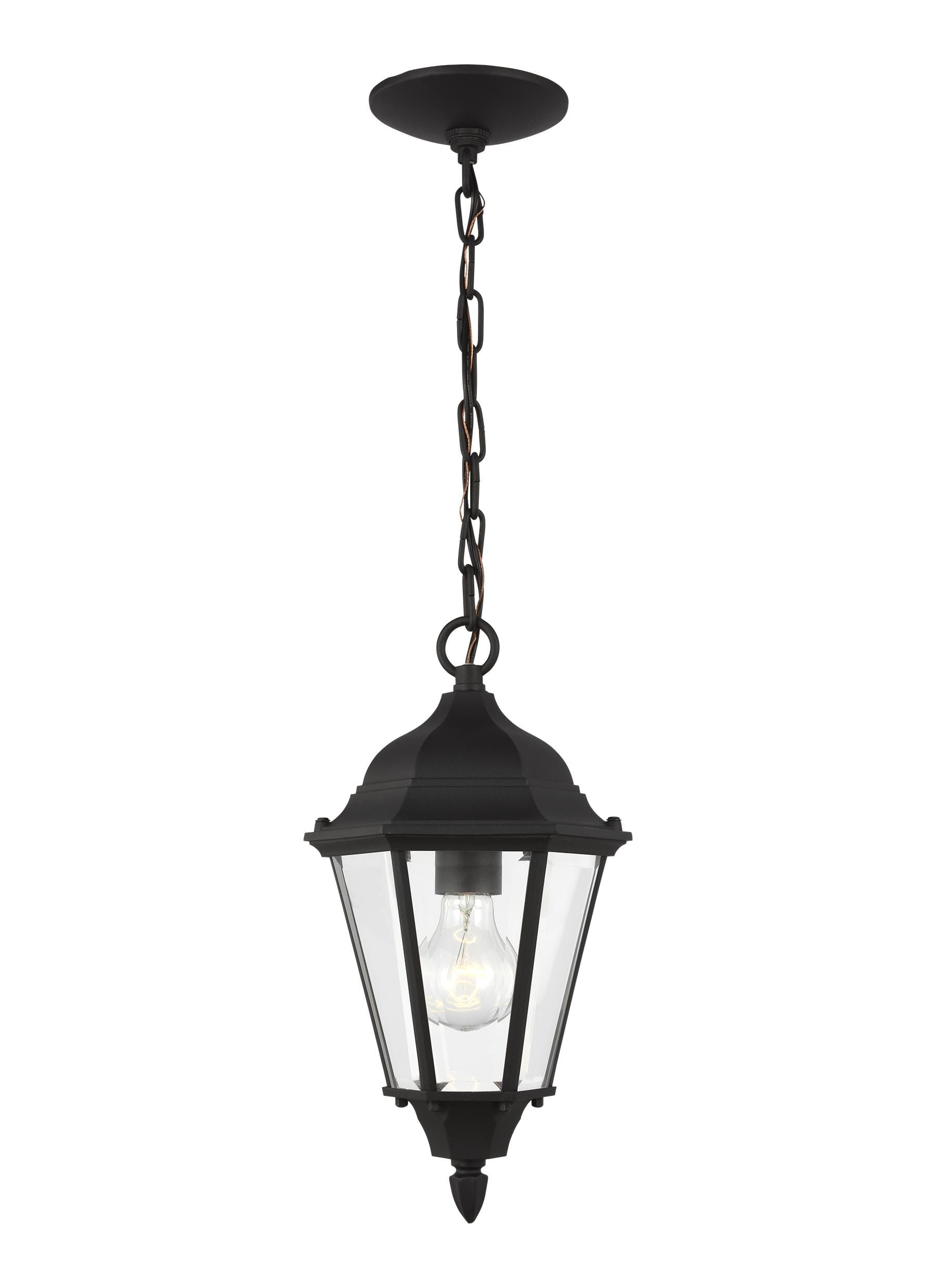 Sea Gull Bakersville Outdoor Hanging Light in Black