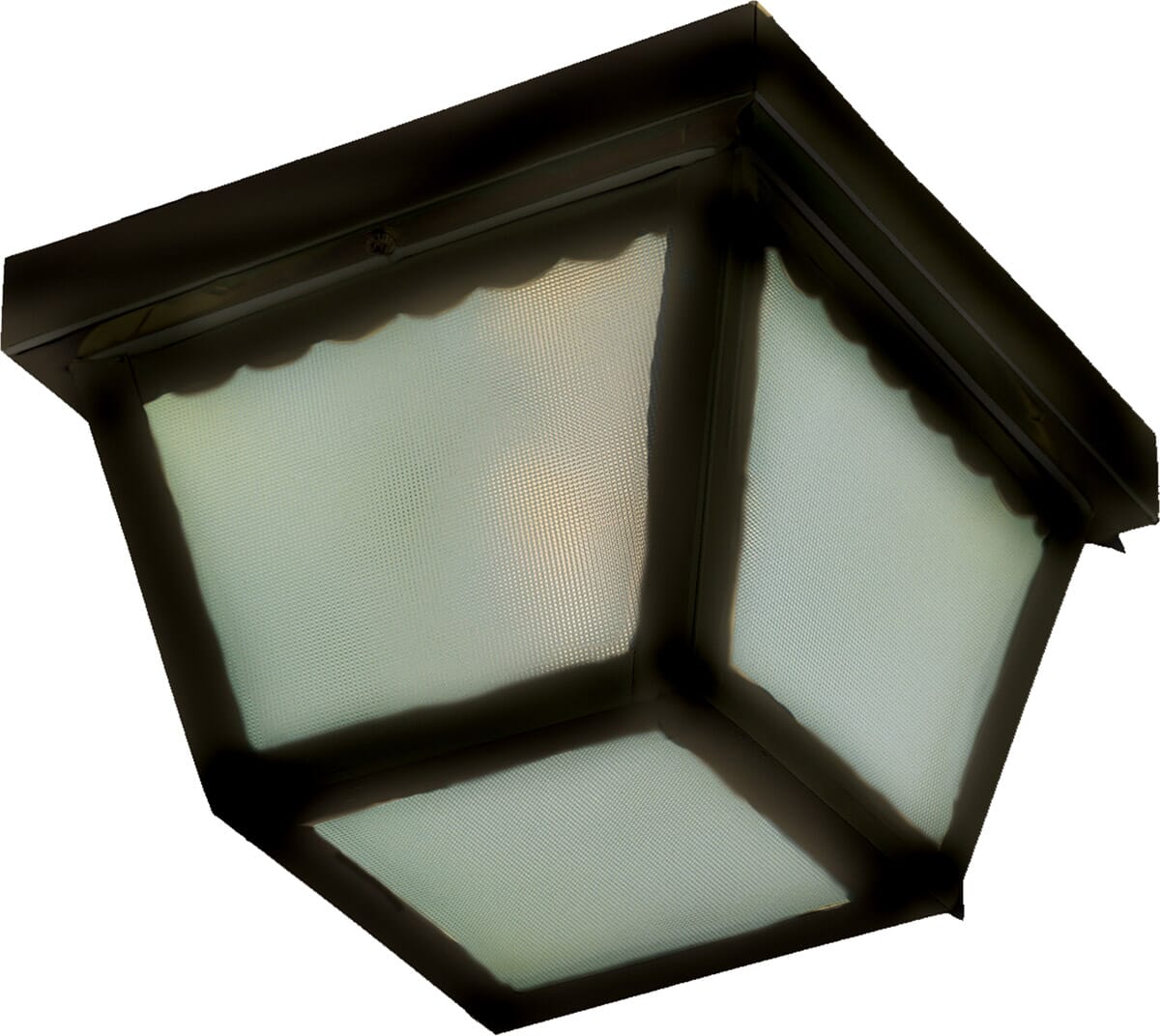 Maxim Lighting Essentials 2-Light Outdoor Ceiling Light in Black