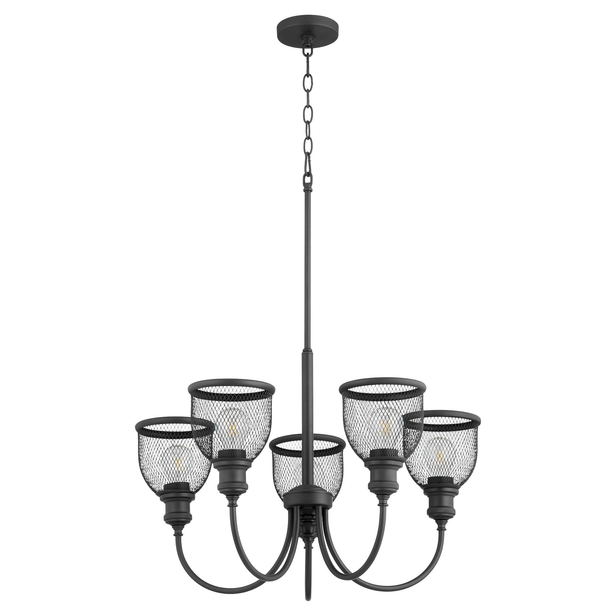 Quorum Omni 5-Light 18" Transitional Chandelier in Noir