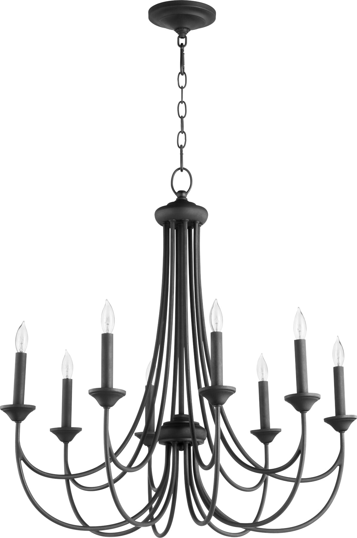 Quorum Brooks 8-Light 30" Transitional Chandelier in Noir