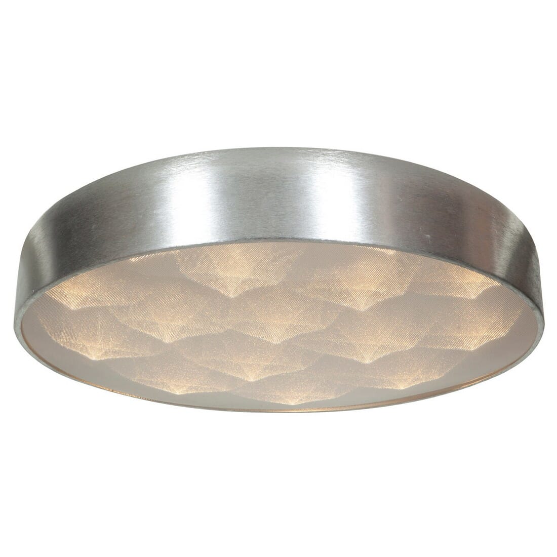 Access Meteor 16-Light Ceiling Light in Brushed Silver