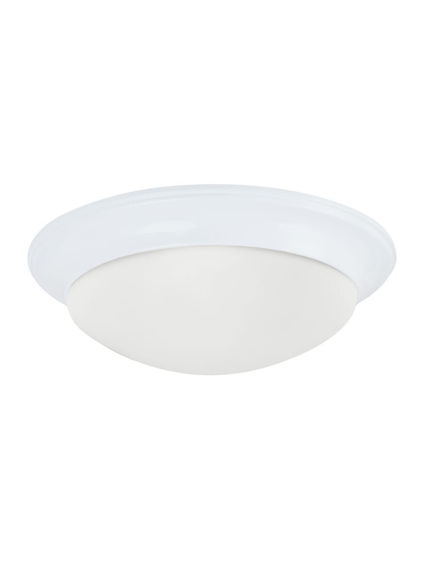 Sea Gull Nash 2-Light Ceiling Light in White