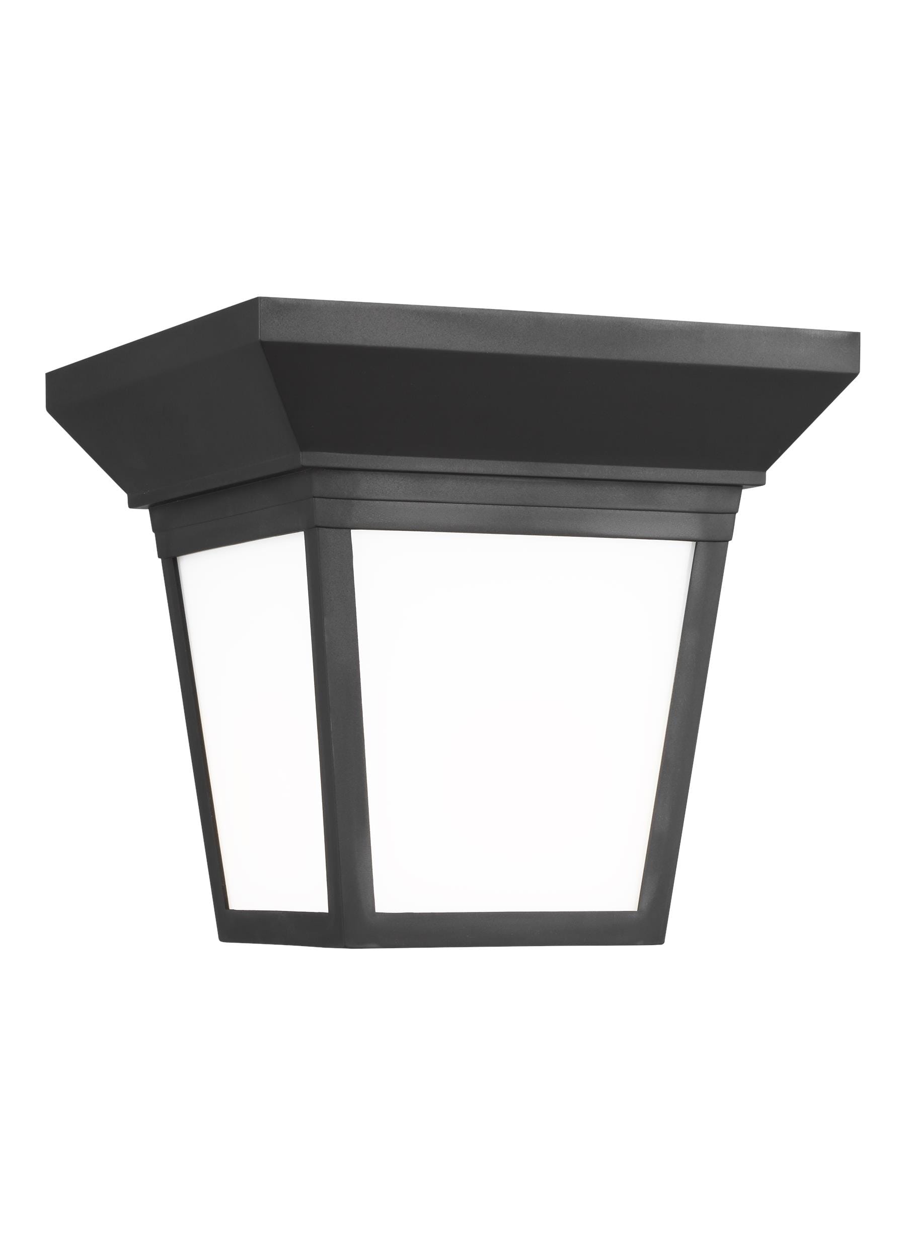 Sea Gull Lavon Outdoor Ceiling Light in Black