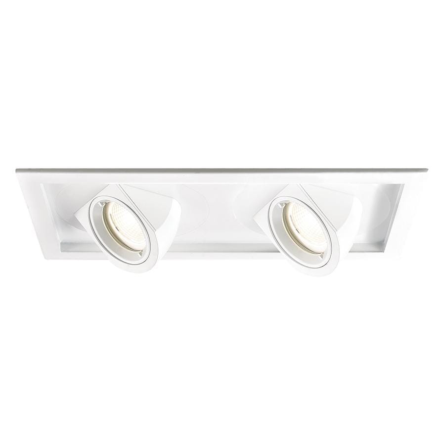 WAC Lighting Tesla 2-Light LED Multiple Two Light Trim with Light Engine in White