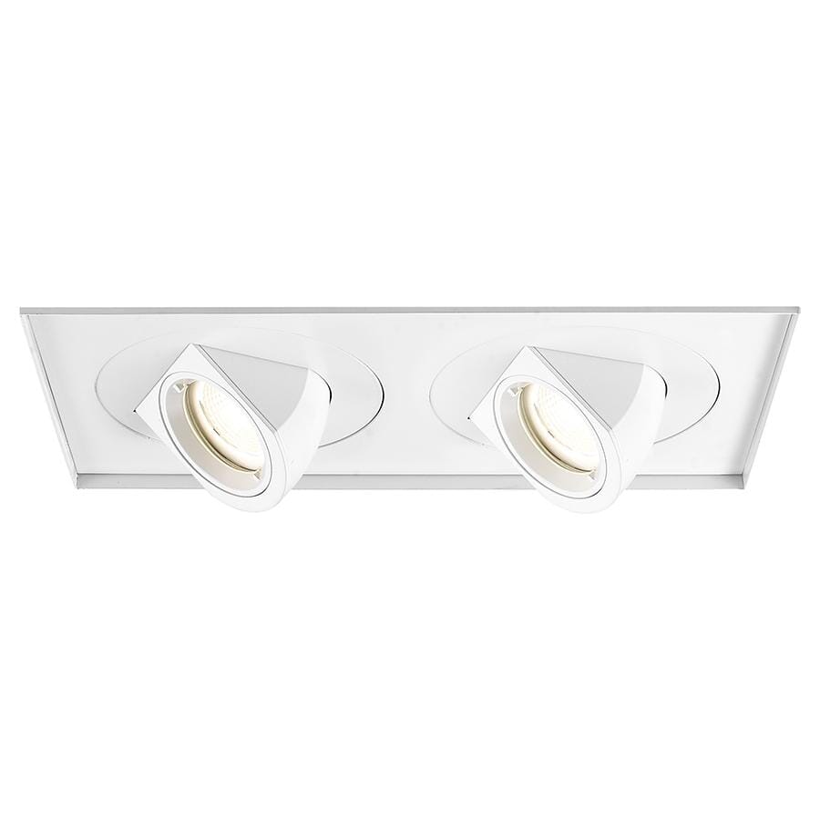 WAC Lighting Tesla 2-Light LED Multiple Two Light Invisible Trim with Light Engine in White