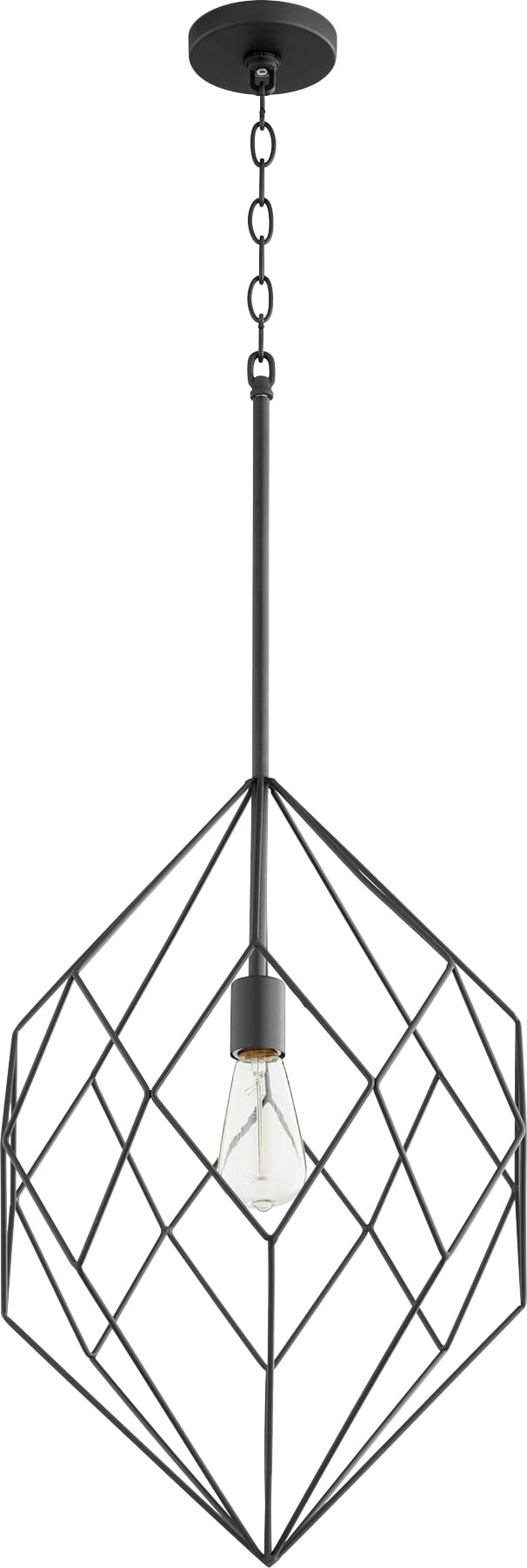 Quorum Soft Contemporary 16" Pendant Light in Noir