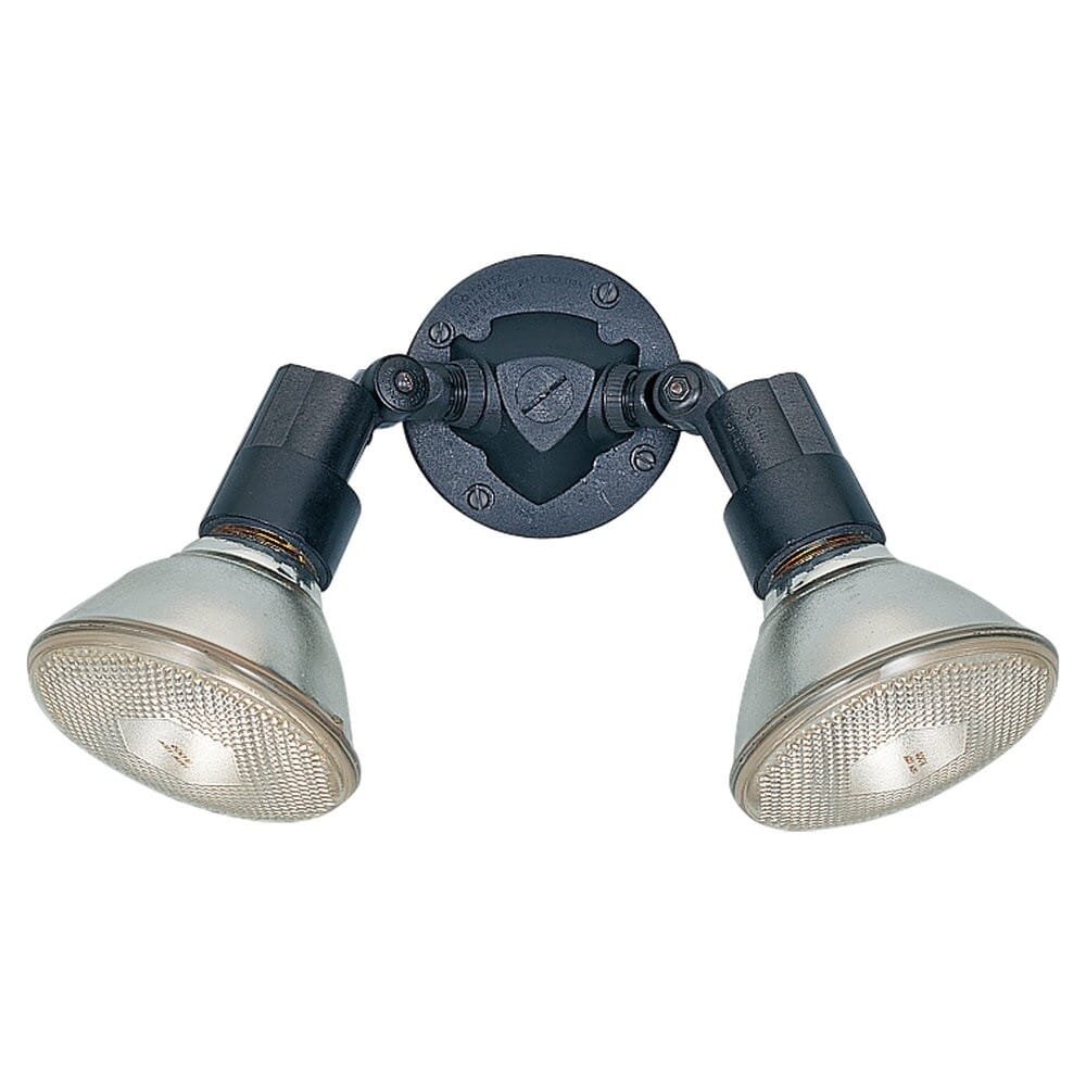 Sea Gull Flood Light 2-Light 10" Flood Light in Black