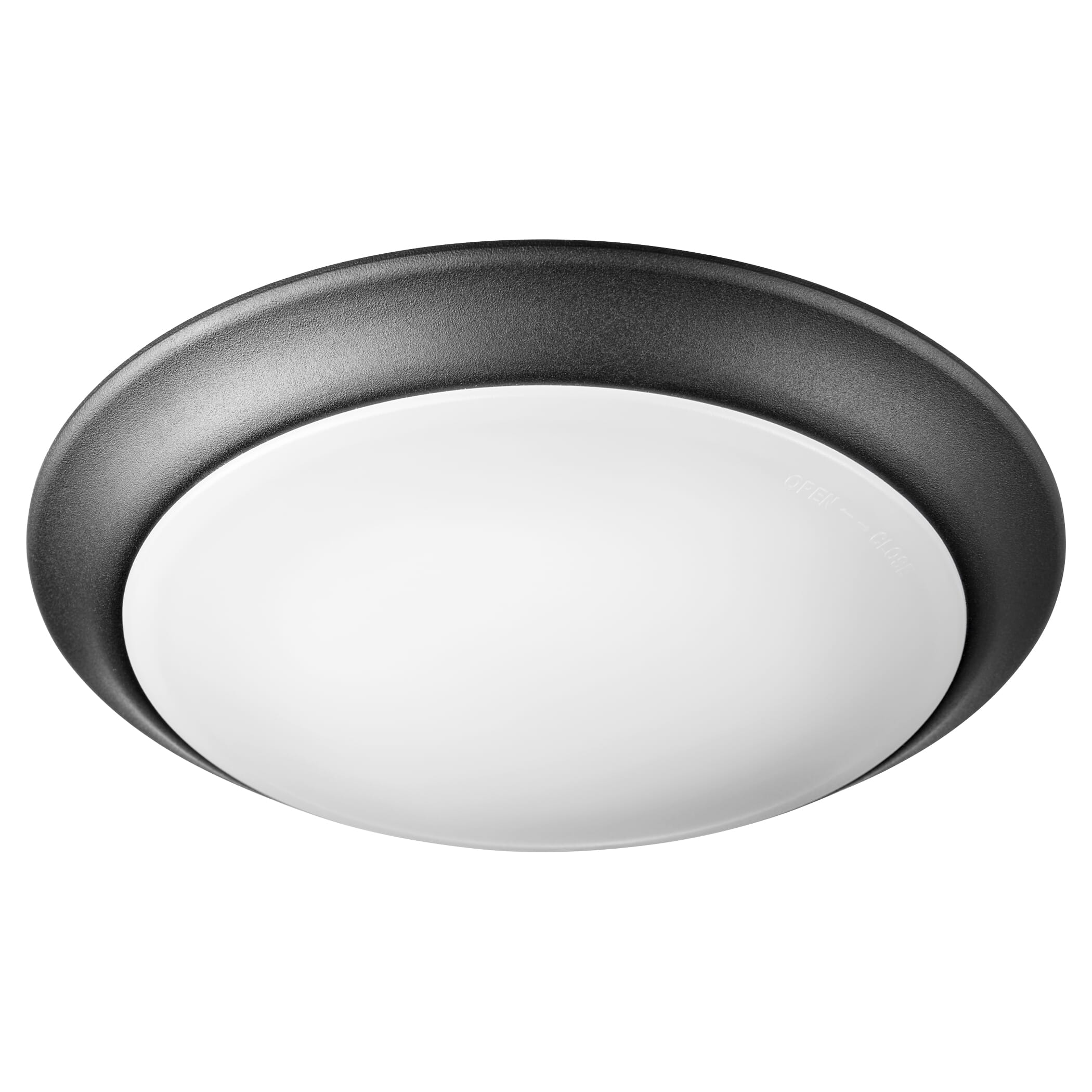 Quorum Traditional 1-Light 10" Outdoor Ceiling Light in Noir