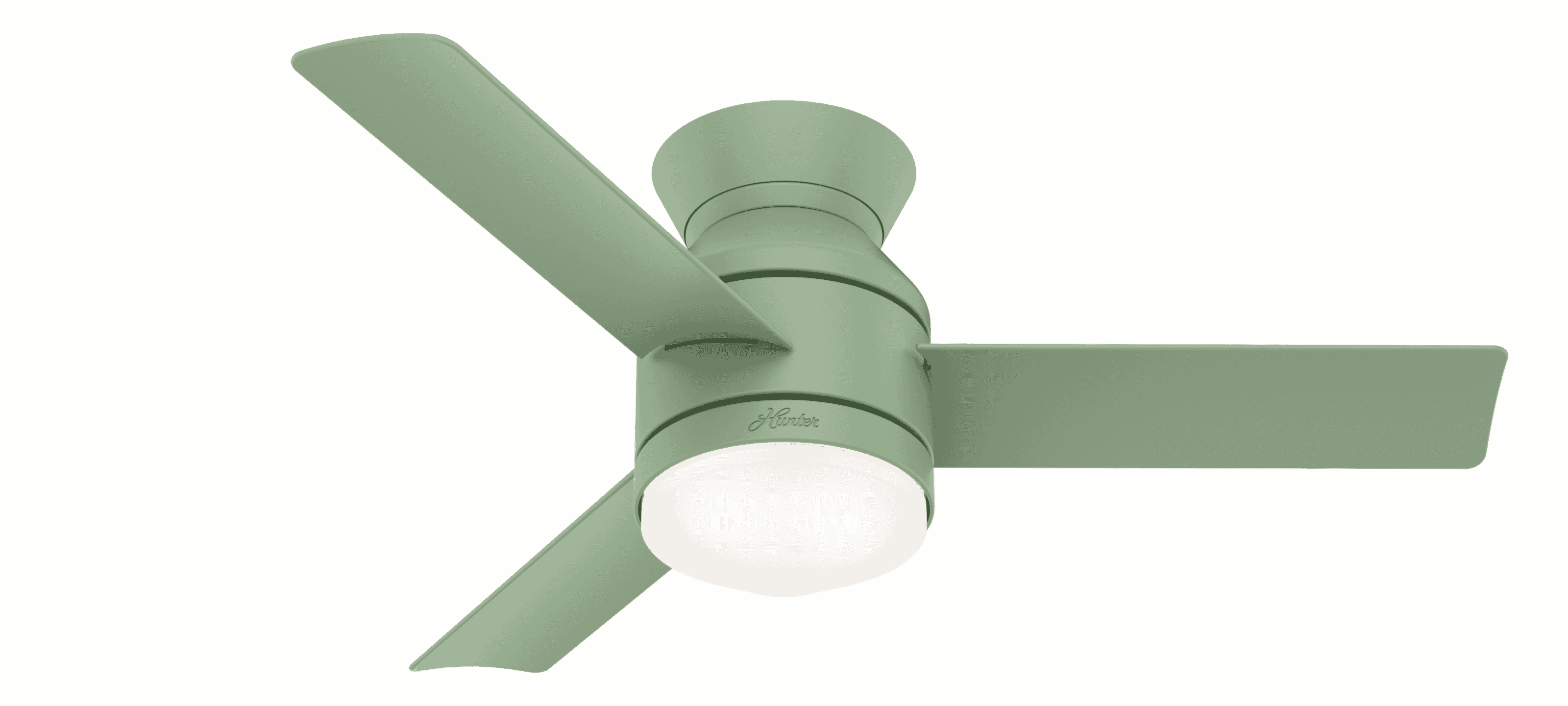 Hunter 2-Light 44" Indoor Ceiling Fan in Dusty Green