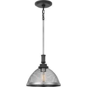 Quoizel Awning 11" Pendant Light in Mottled Black