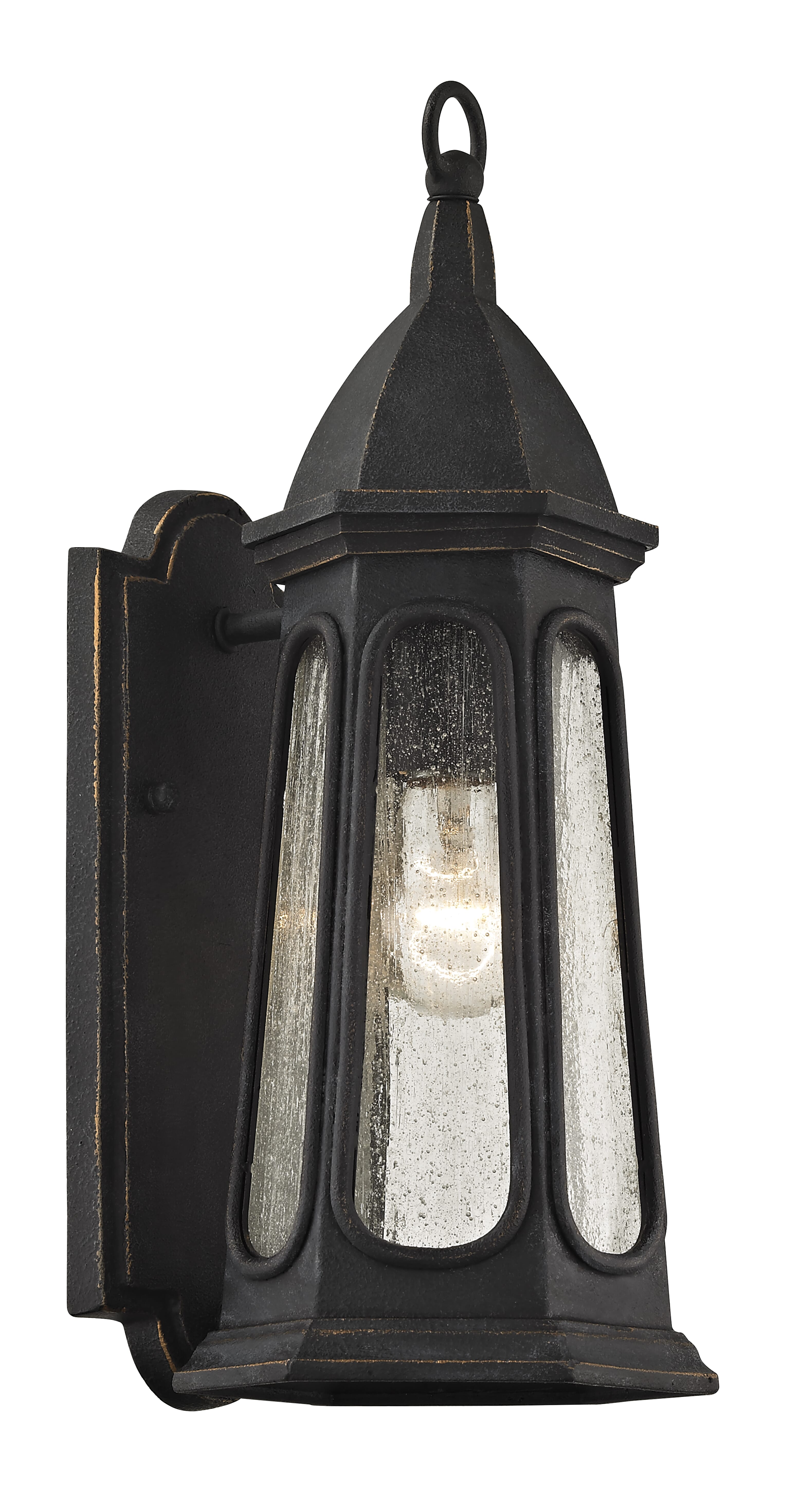 Troy Astor 16" Outdoor Wall Light in Vintage Iron