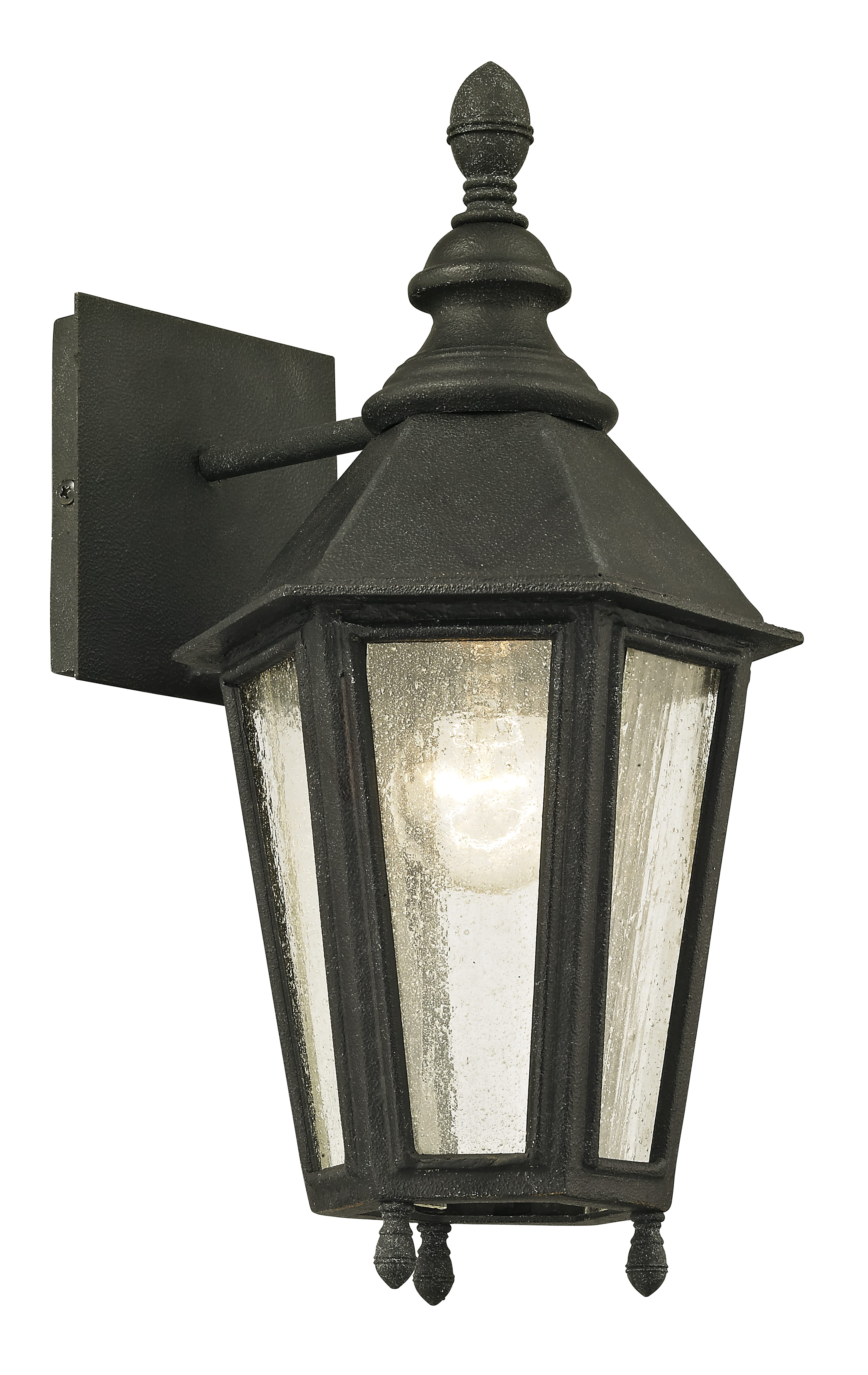 Troy Savannah 15" Outdoor Wall Light in Vintage Iron