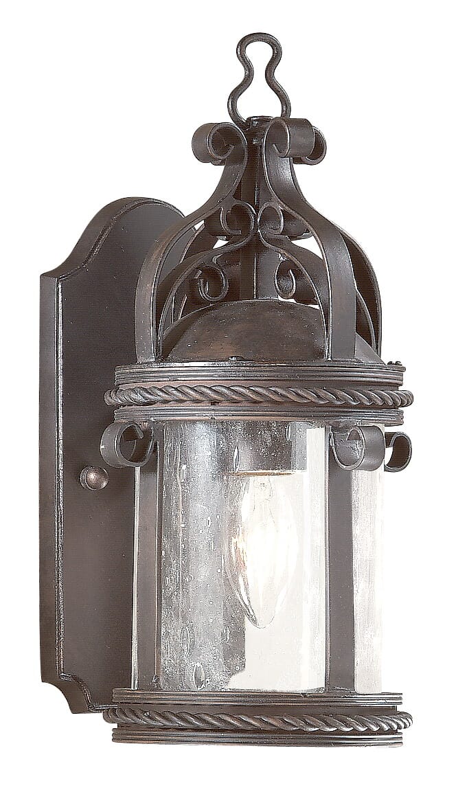 Troy Pamplona 12" Outdoor Wall Light in Old Bronze