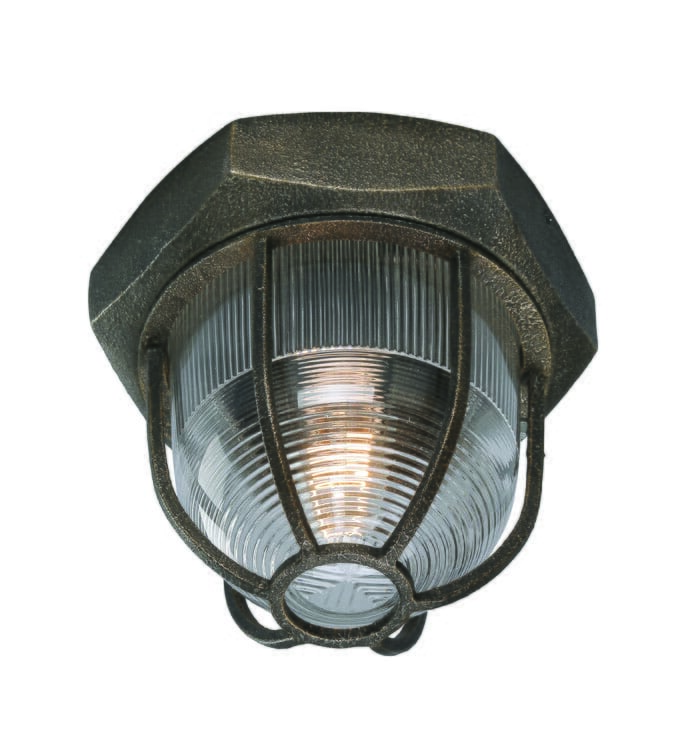 Troy Acme Ceiling Light in Aged Silver