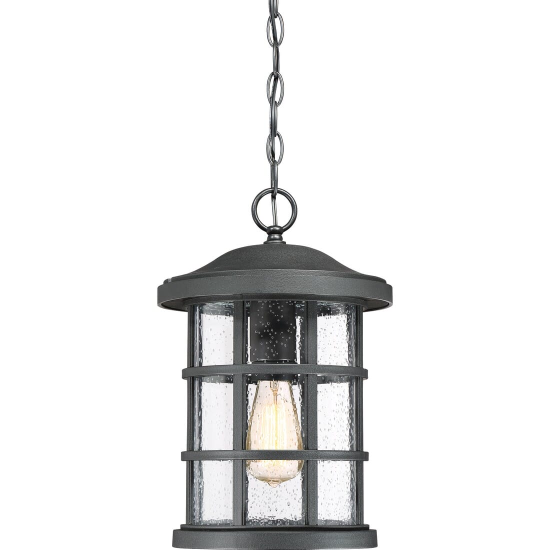 Quoizel Crusade 10" Outdoor Hanging Light in Earth Black