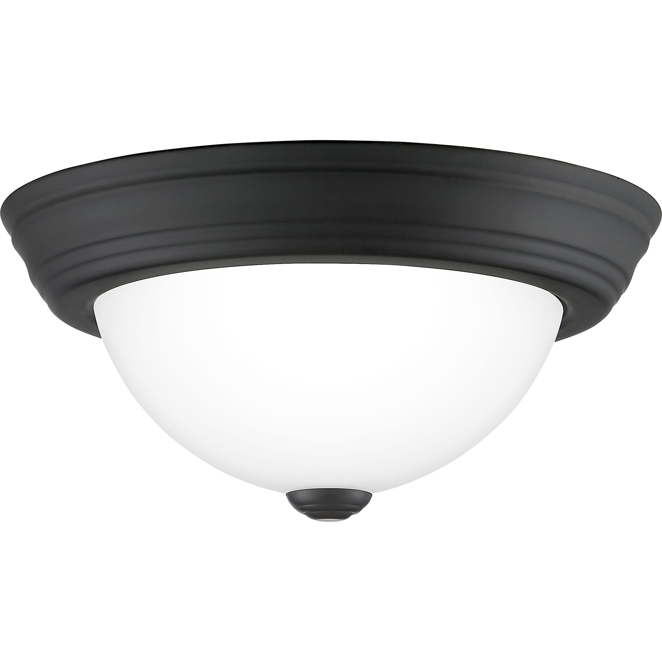 Quoizel Erwin 11" Ceiling Light in Matte Black