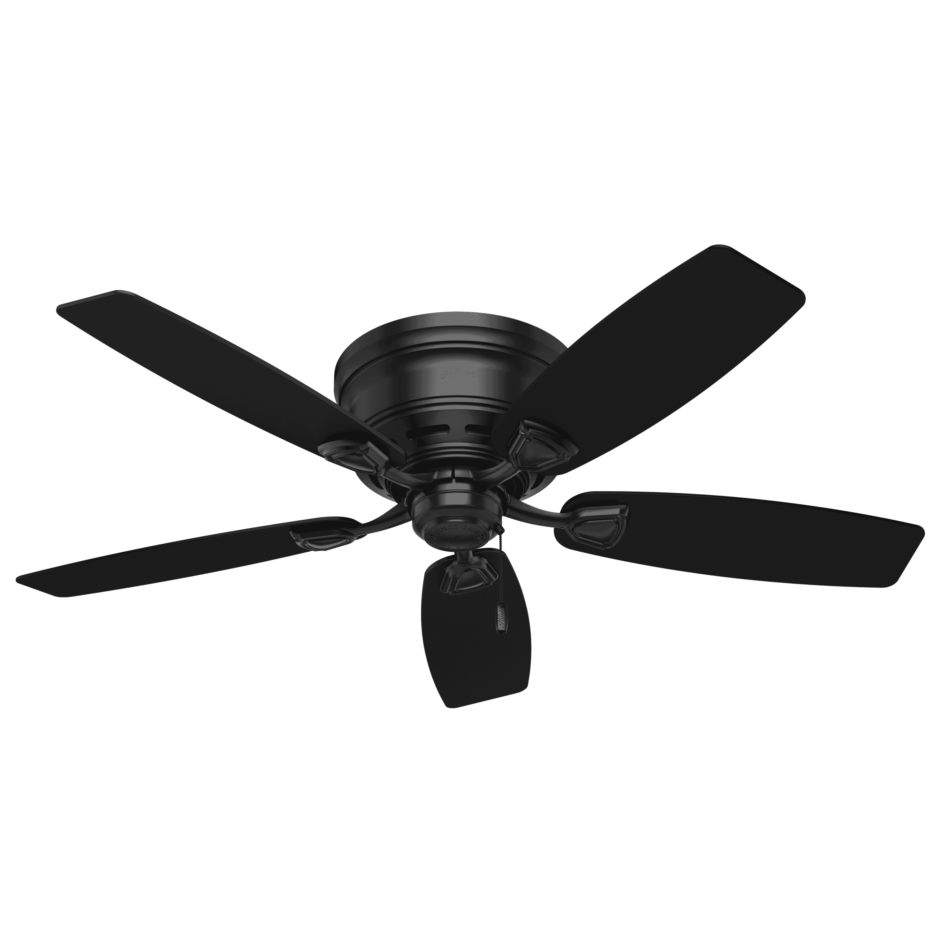 Hunter Sea Wind 48" Indoor/Outdoor Flush Mount Ceiling Fan in Matte Black