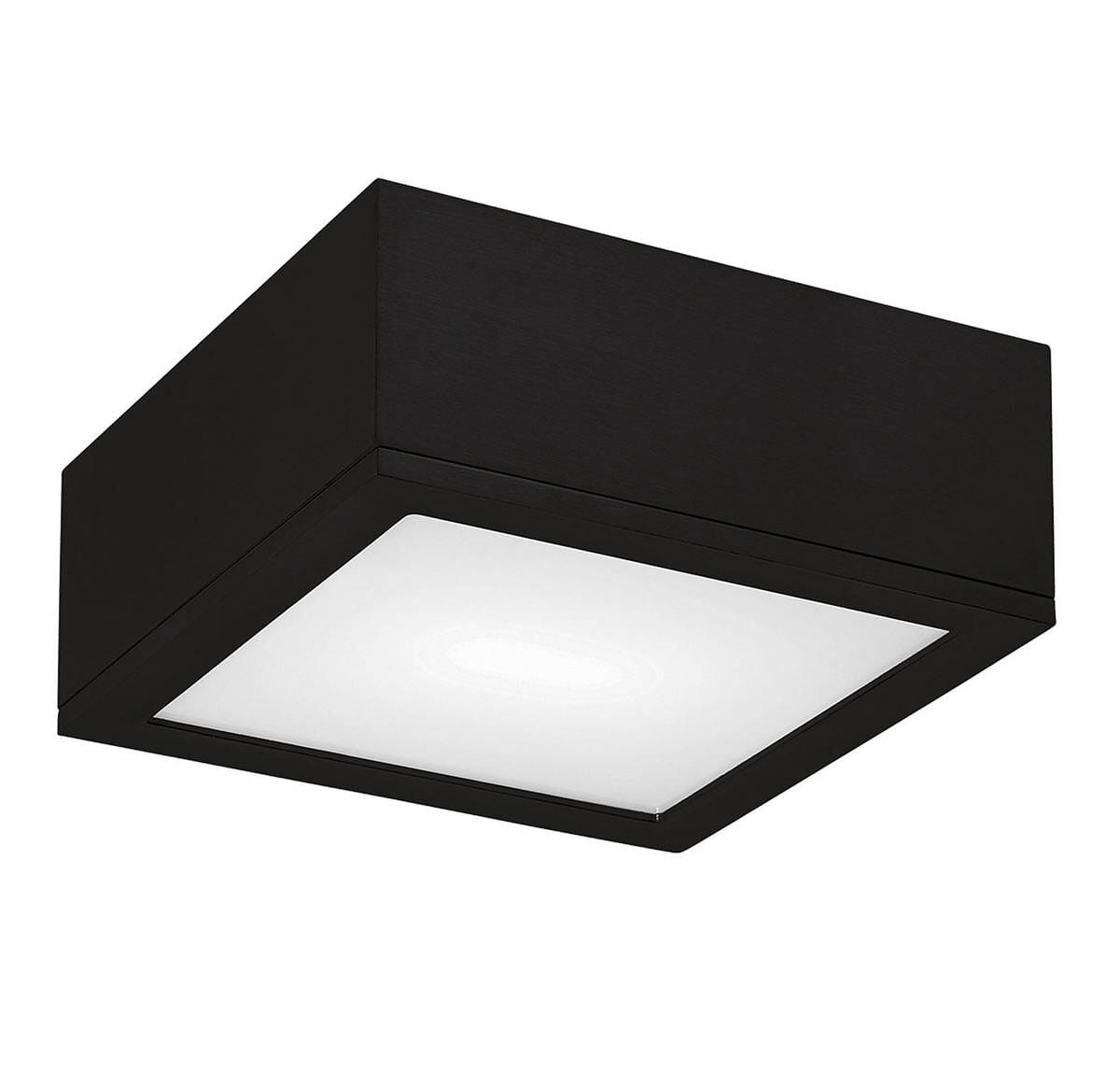 WAC Rubix 10" Indoor/Outdoor LED Flush Ceiling Light in Black