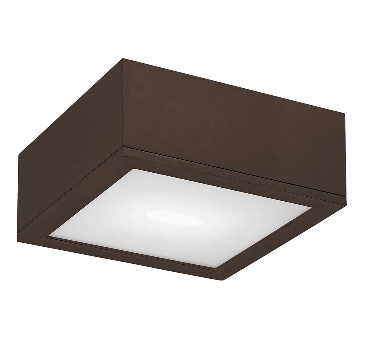 WAC Lighting Rubix 10" Indoor/Outdoor LED Flush Mount in Bronze