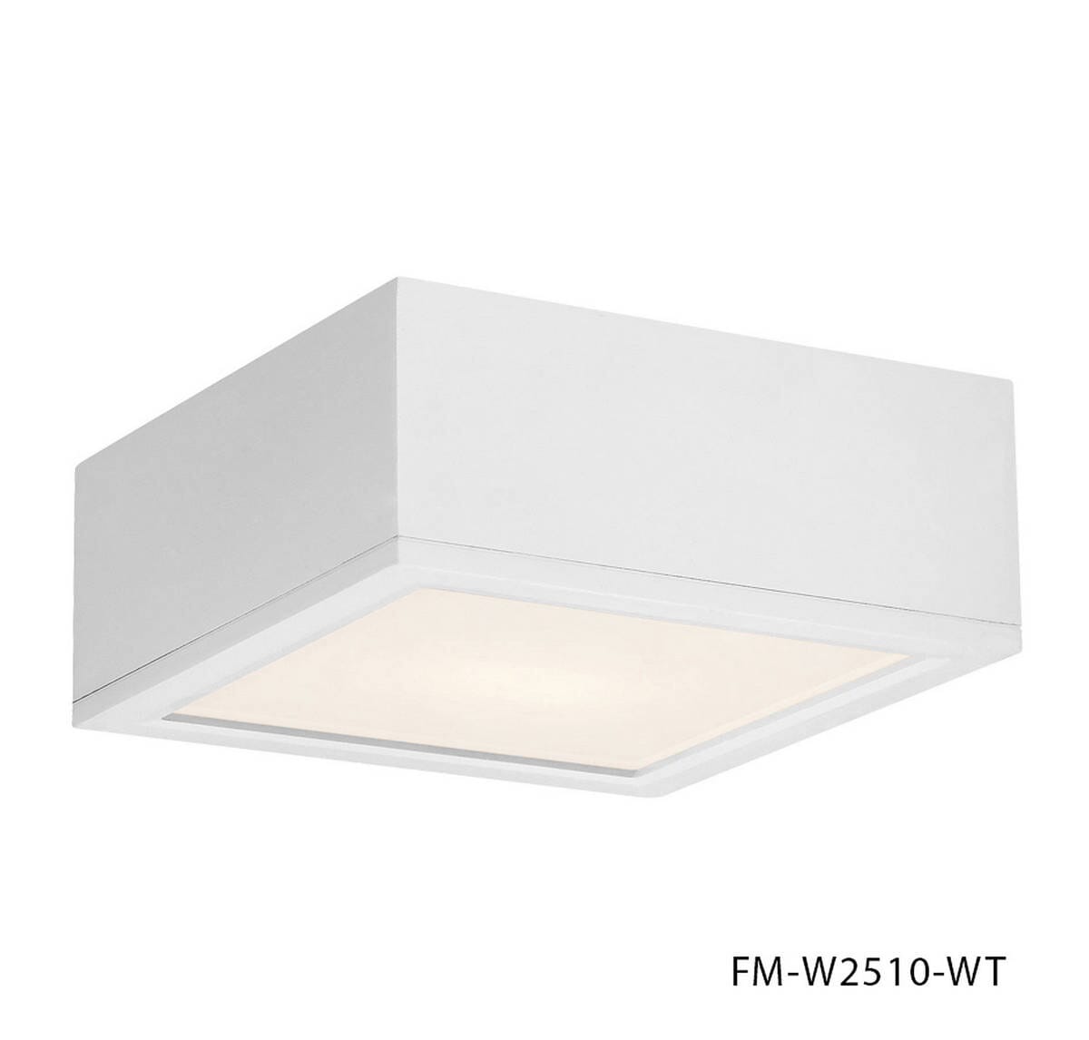 WAC Lighting Rubix 10" Indoor/Outdoor LED Flush Mount in White