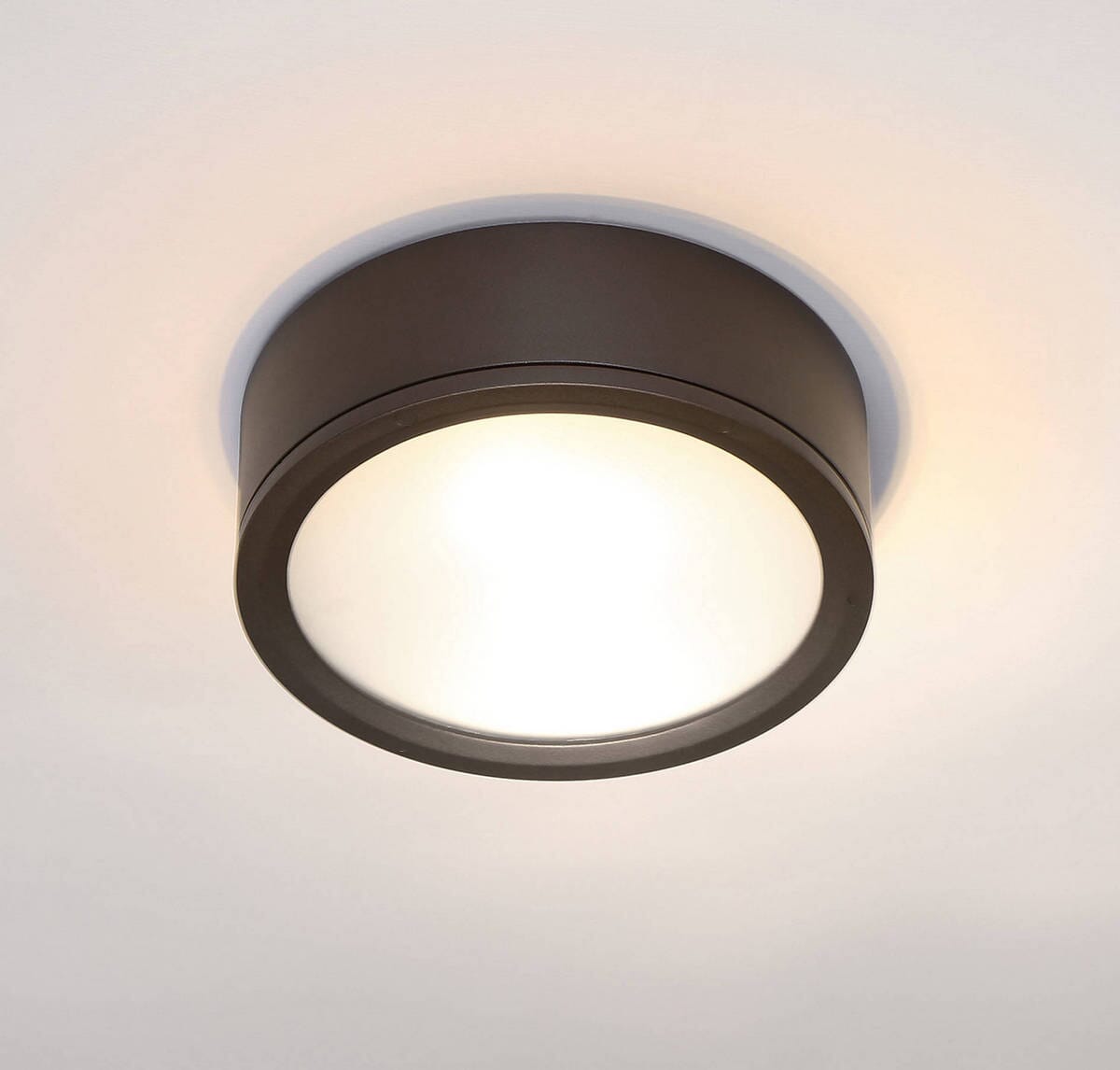 WAC Lighting Tube 12" Indoor/Outdoor LED Flush Mount in Bronze