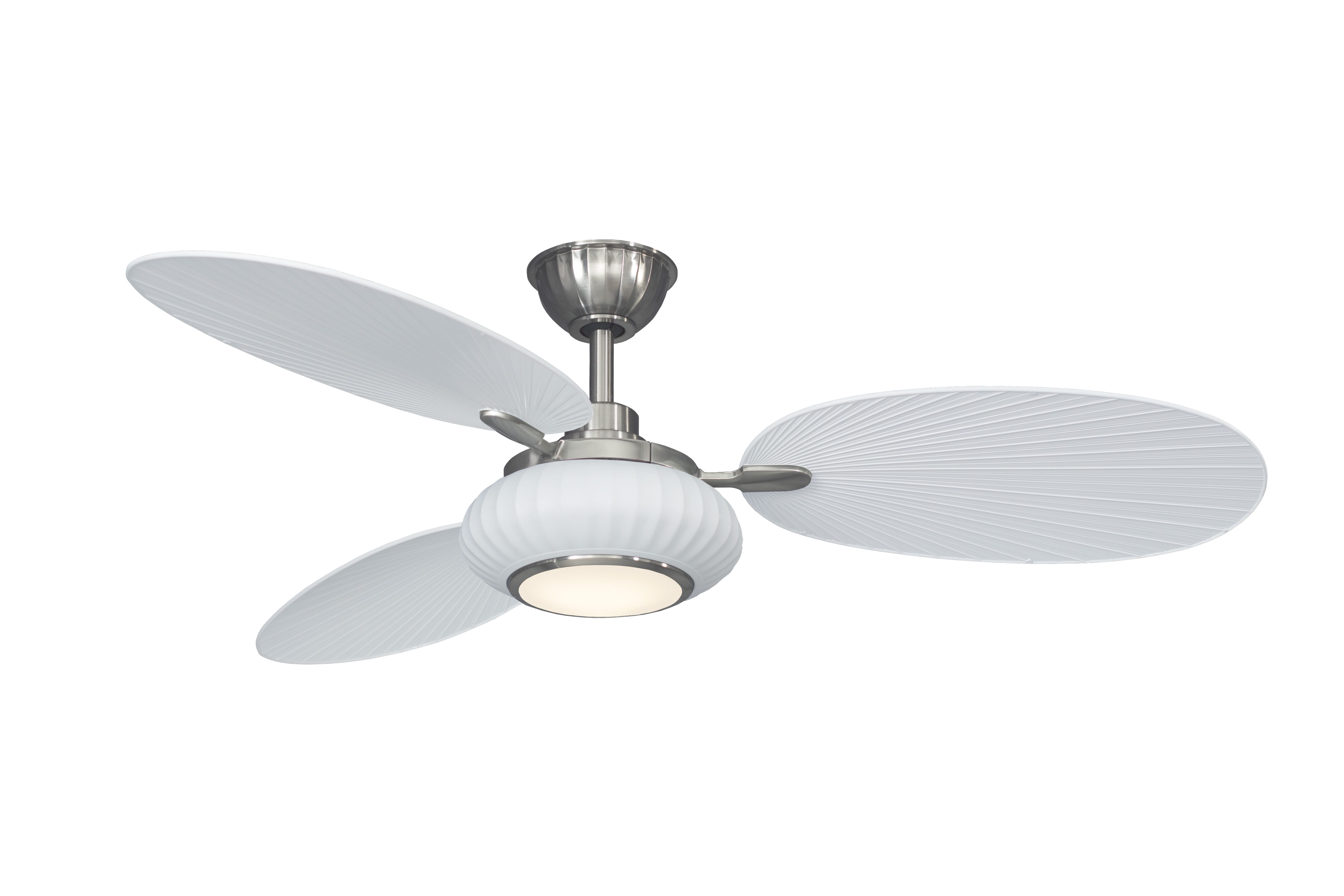 Fanimation Palma 56" 3-Blade Ceiling Fan in Matte White