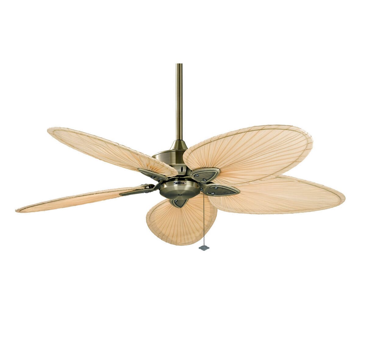 Fanimation 52" Windpointe Indoor Ceiling Fan in Brass w/Palm Blades