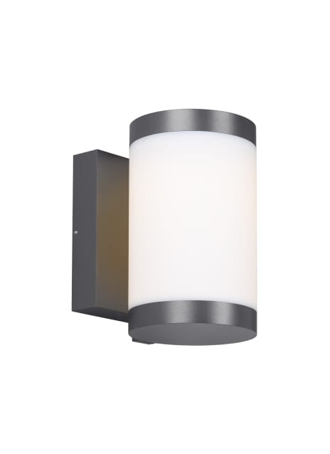 Tech Gage 9" Outdoor Wall Light in Charcoal