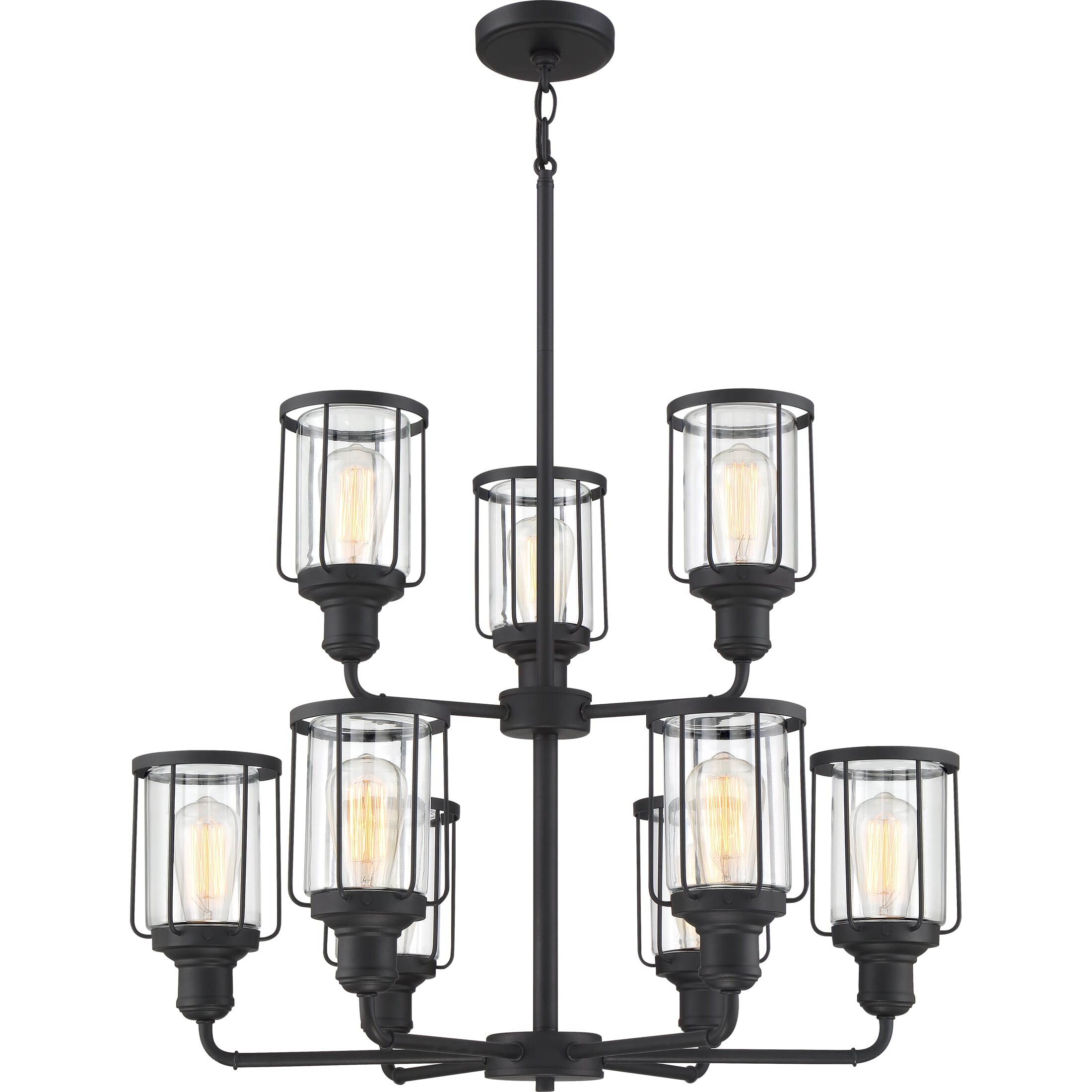 Quoizel Ludlow 9-Light 24" Transitional Chandelier in Earth Black