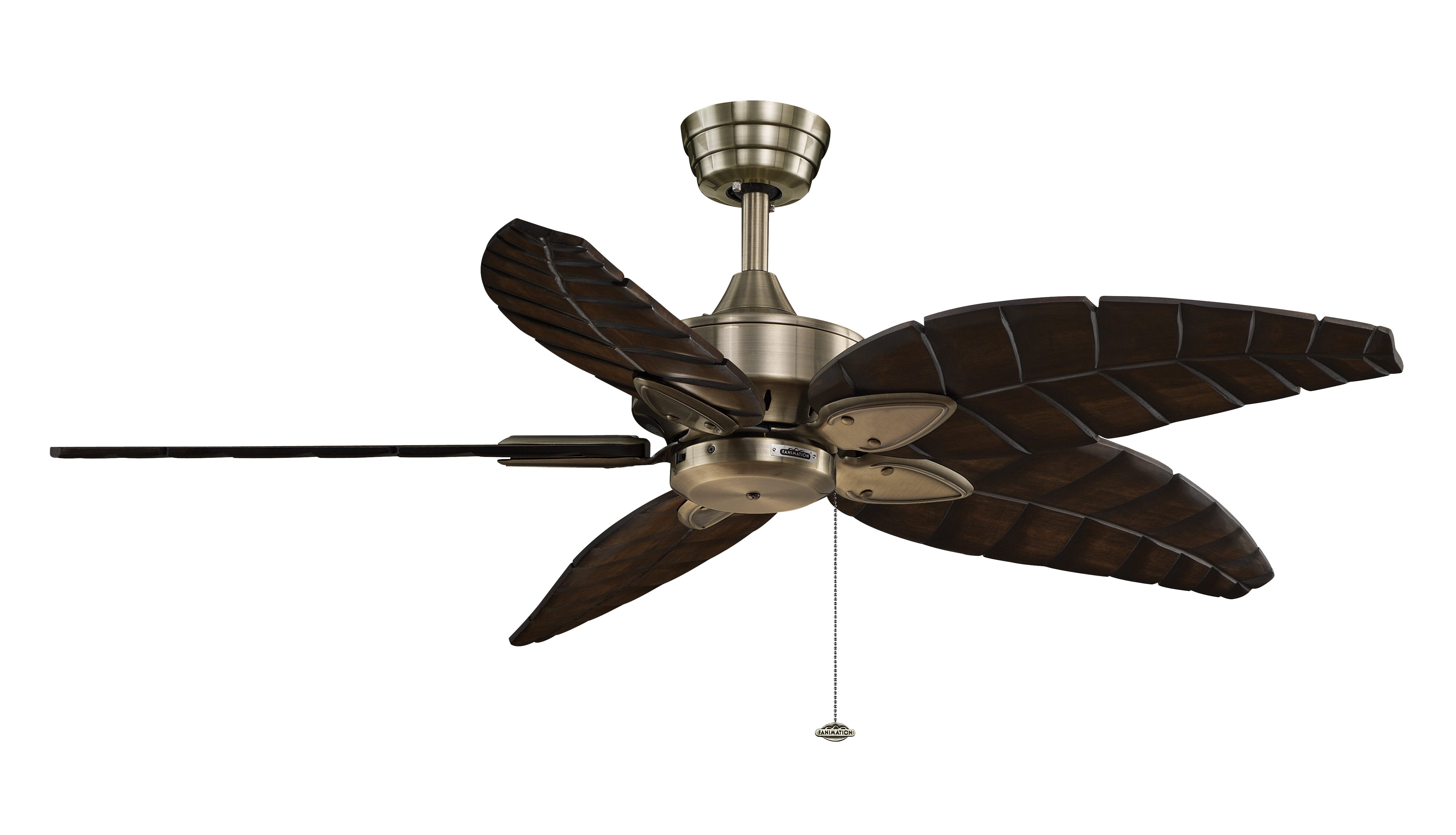 Fanimation Windpointe 5-Blade Ceiling Fan Motor (Only) in Antique Brass