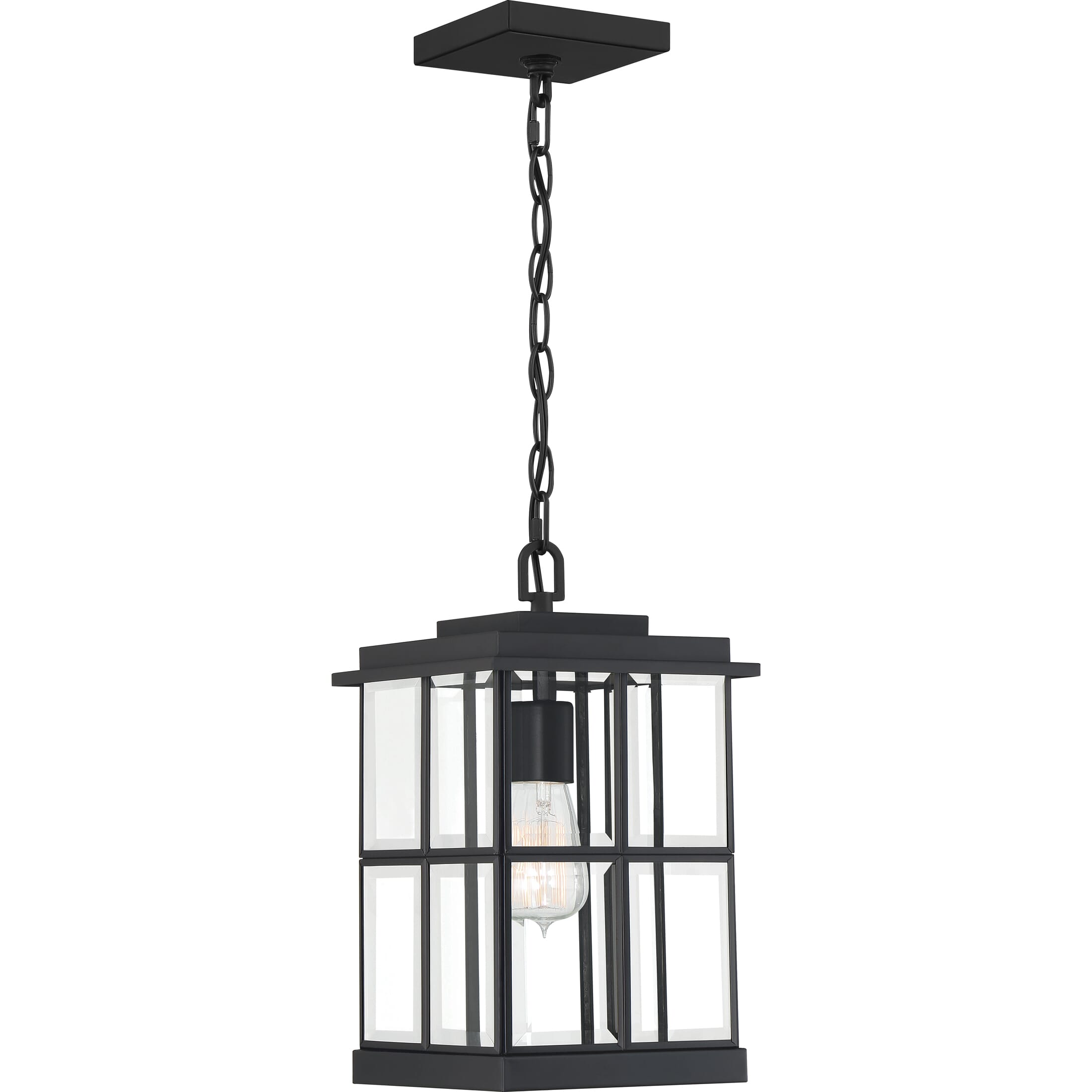 Quoizel Mulligan 8" Outdoor Hanging Light in Matte Black