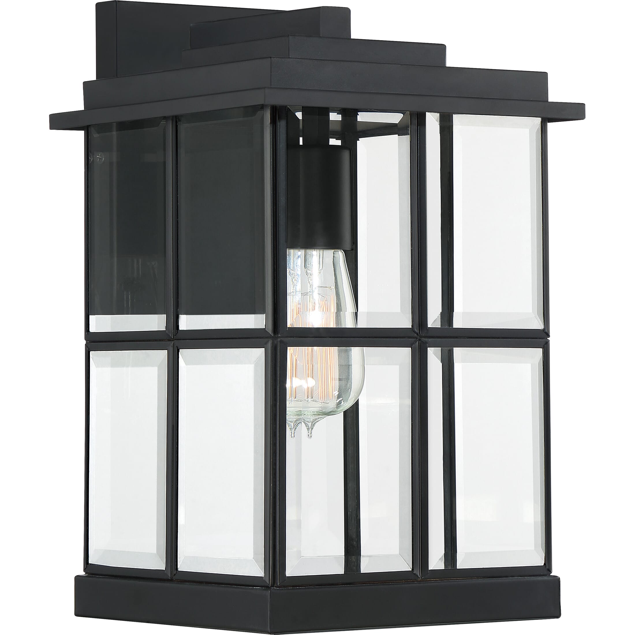 Quoizel Mulligan 8" Outdoor Hanging Light in Matte Black