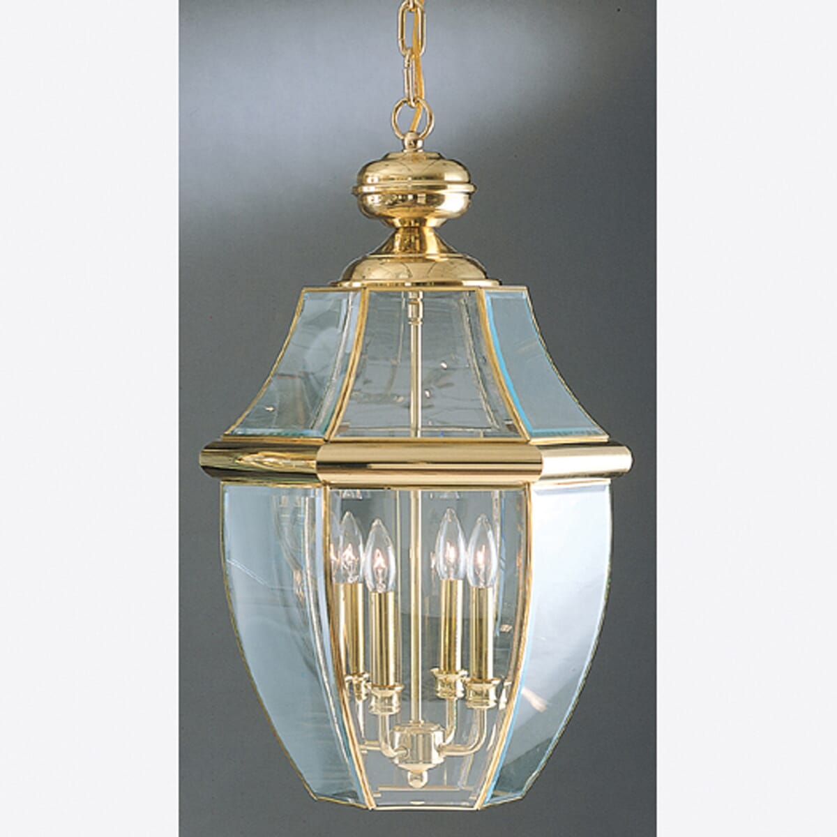 Quoizel Newbury 4-Light 16" Outdoor Hanging Light in Polished Brass