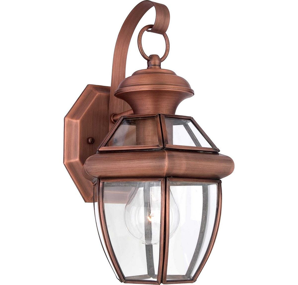 Quoizel Newbury 7" Outdoor Hanging Light in Aged Copper