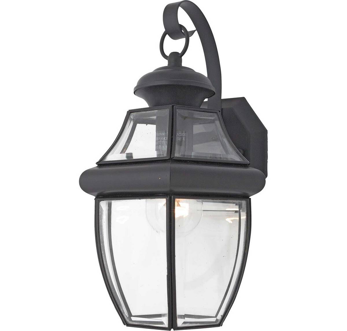 Quoizel Newbury 8" Outdoor Hanging Light in Mystic Black