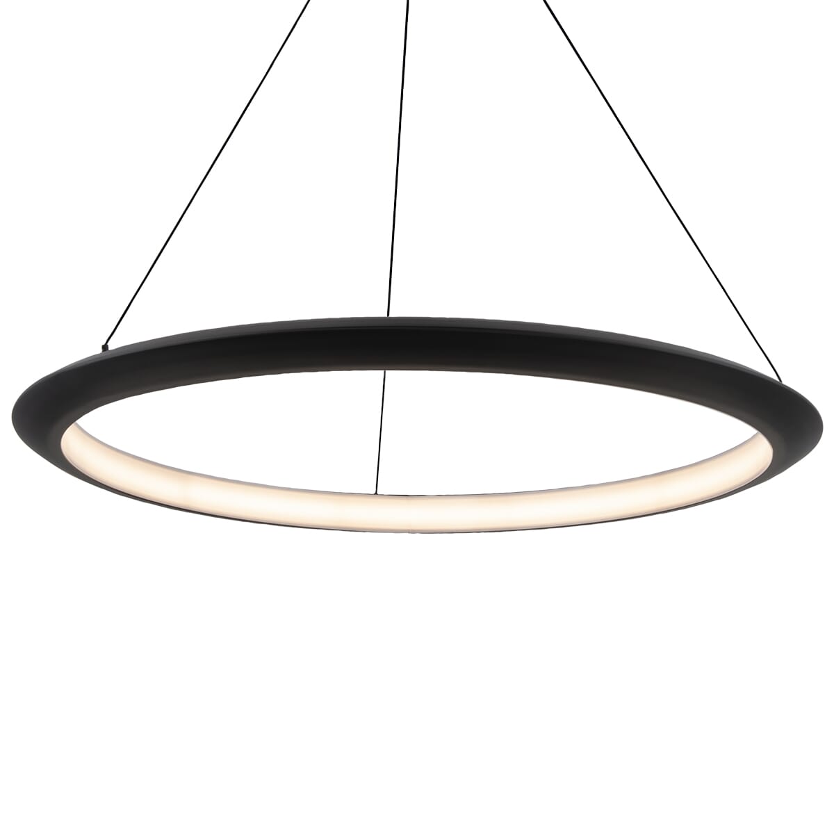 Modern Forms The Ring Pendant Light in Black