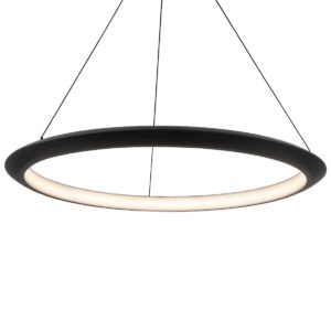 Modern Forms The Ring Pendant Light in Black