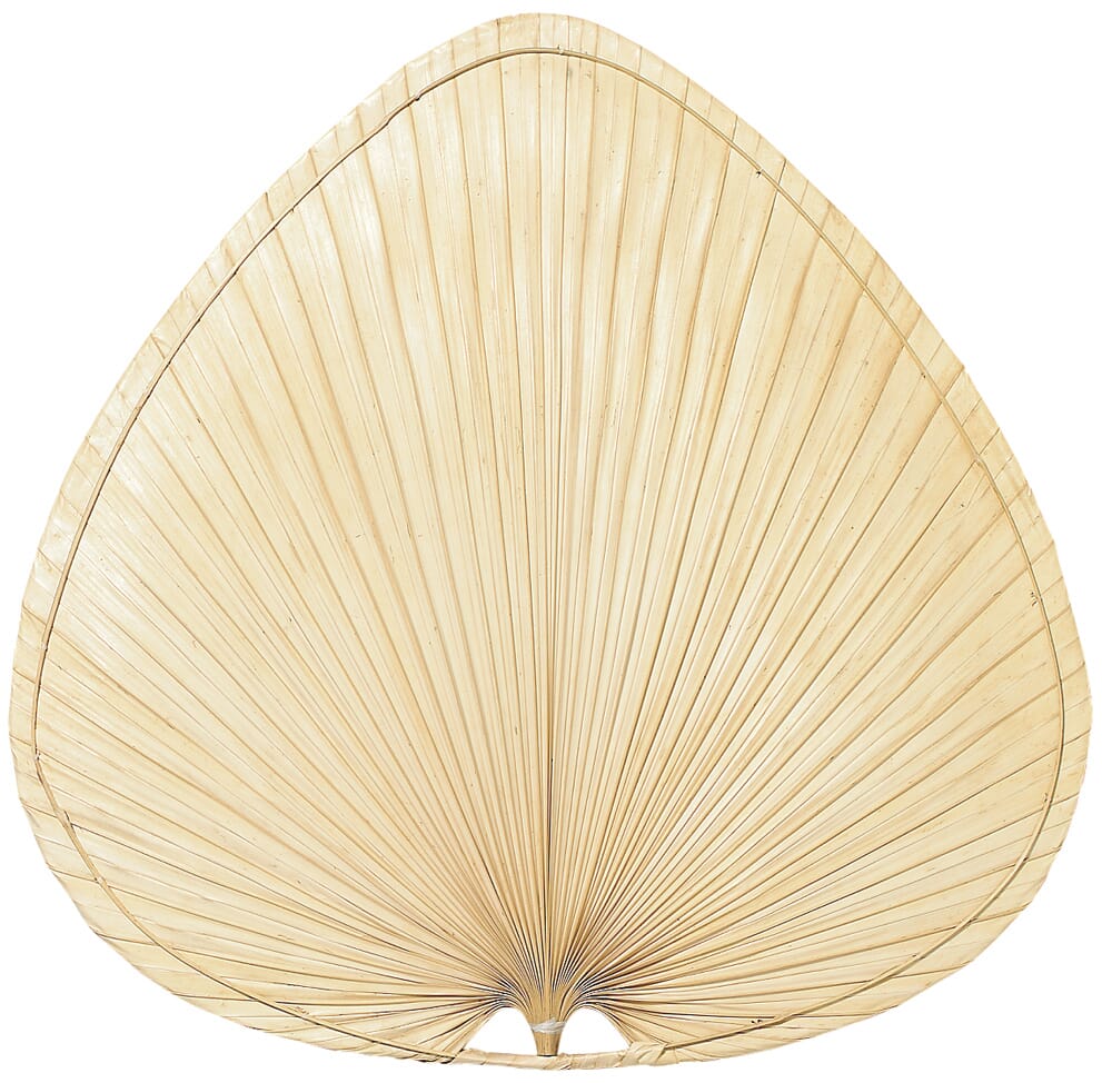 Fanimation Palmetto Palmetto Blade Set of 3 18" Wide Oval Palm