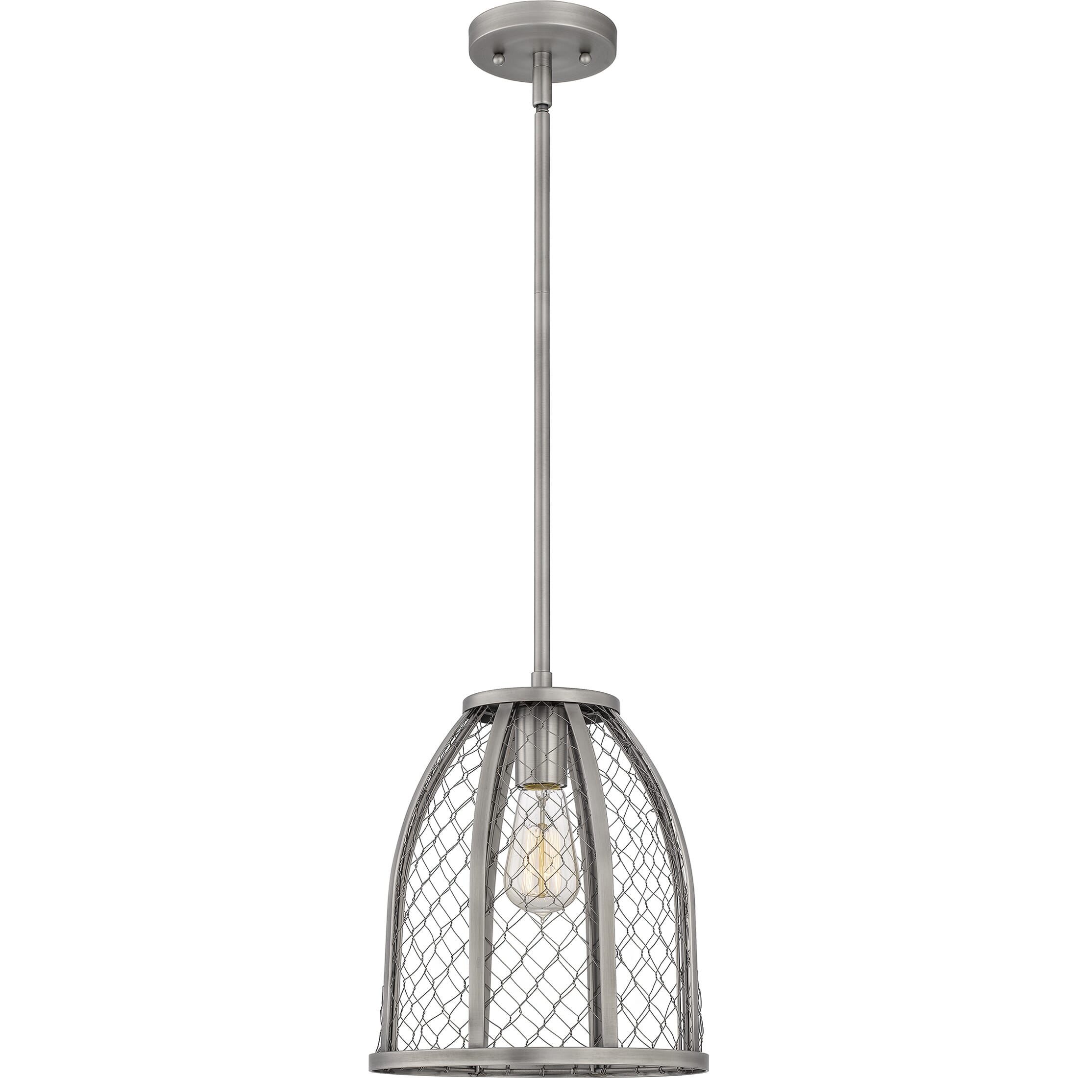 Quoizel Heron 10" Pendant Light in Antique Nickel