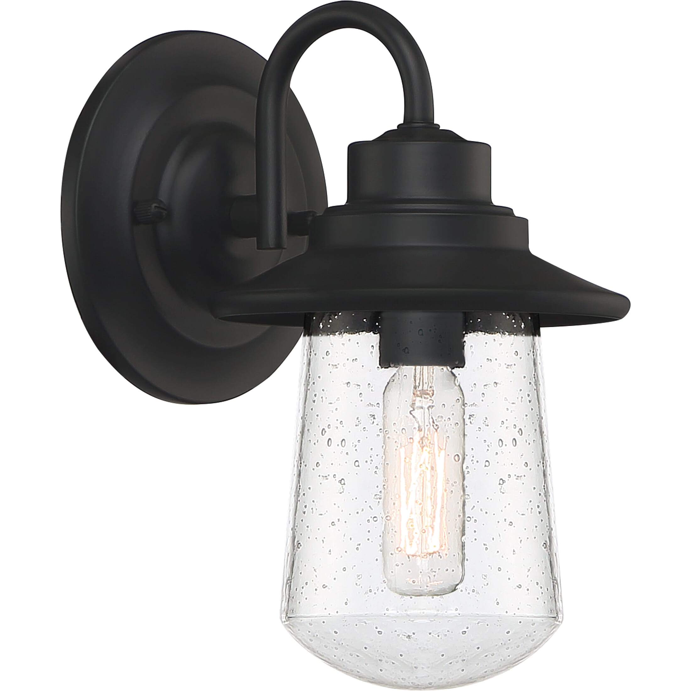 Quoizel Radford 5" Outdoor Hanging Light in Matte Black