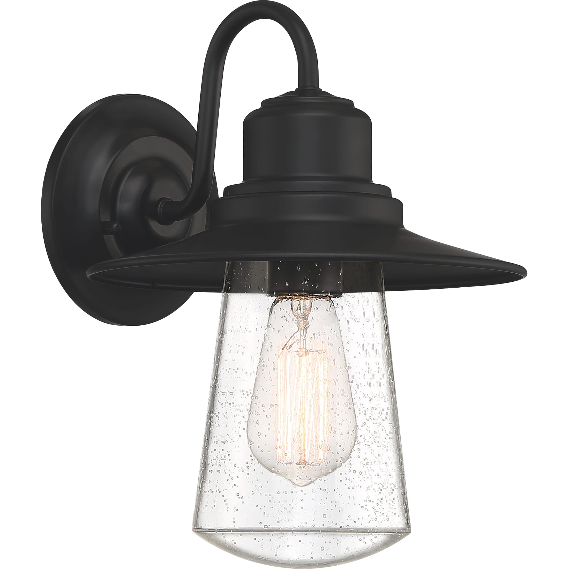 Quoizel Radford 10" Outdoor Hanging Light in Matte Black