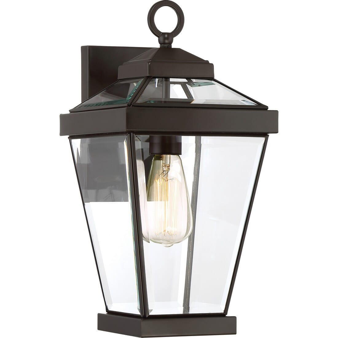 Quoizel Ravine 8" Outdoor Hanging Light in Western Bronze