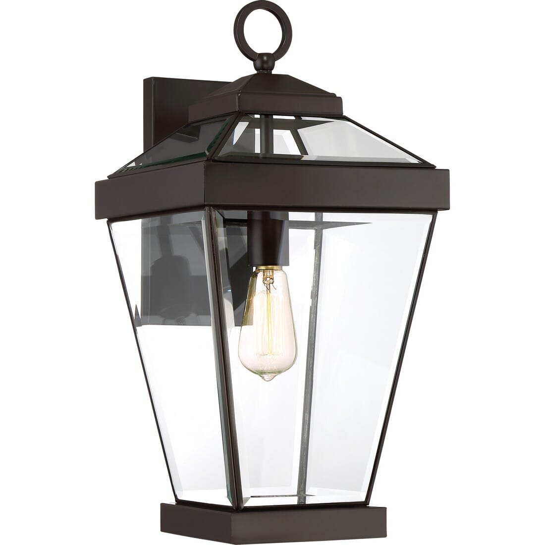 Quoizel Ravine 10" Outdoor Hanging Light in Western Bronze