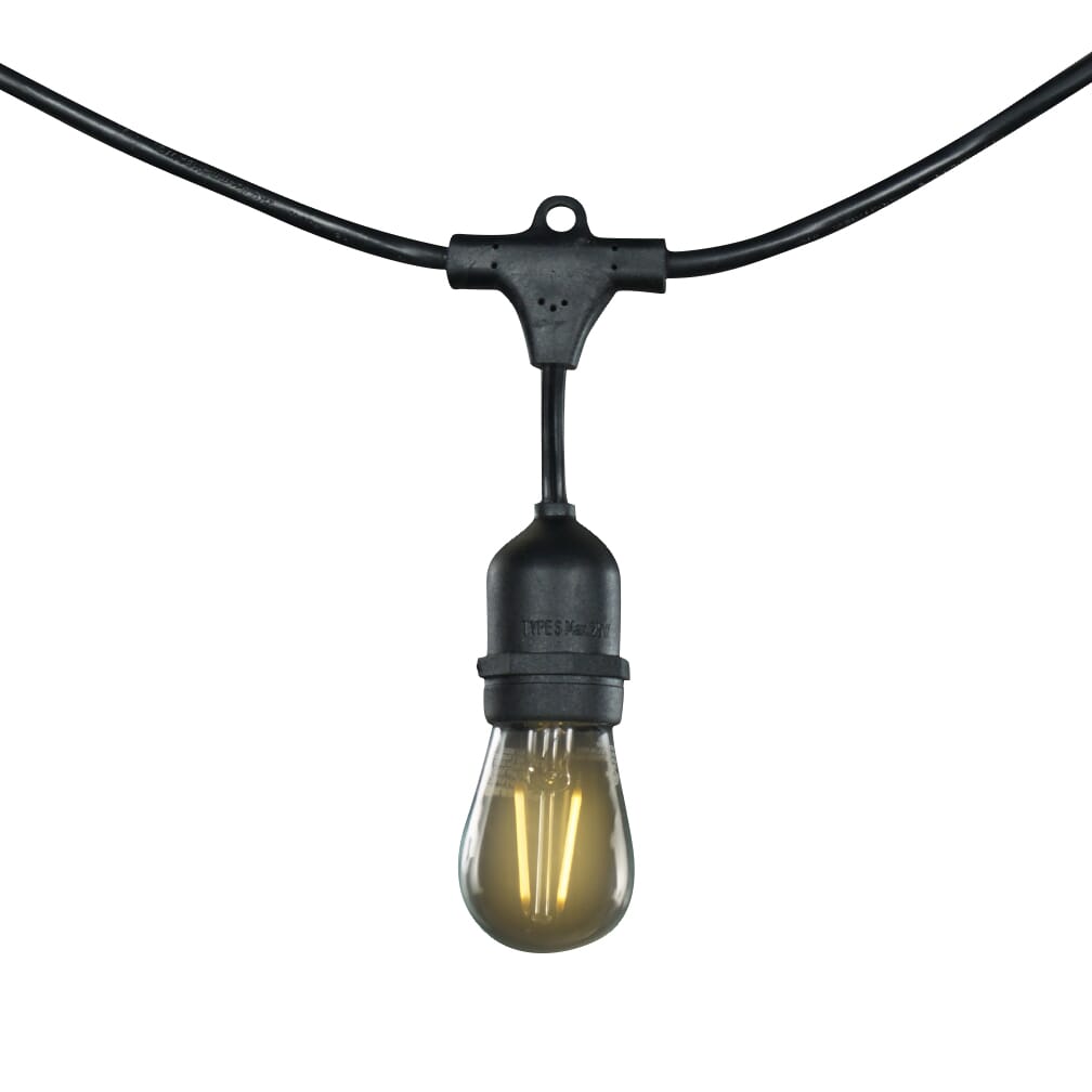 Bulbrite Fixtures String Light Kit in Black with Medium Bulbs