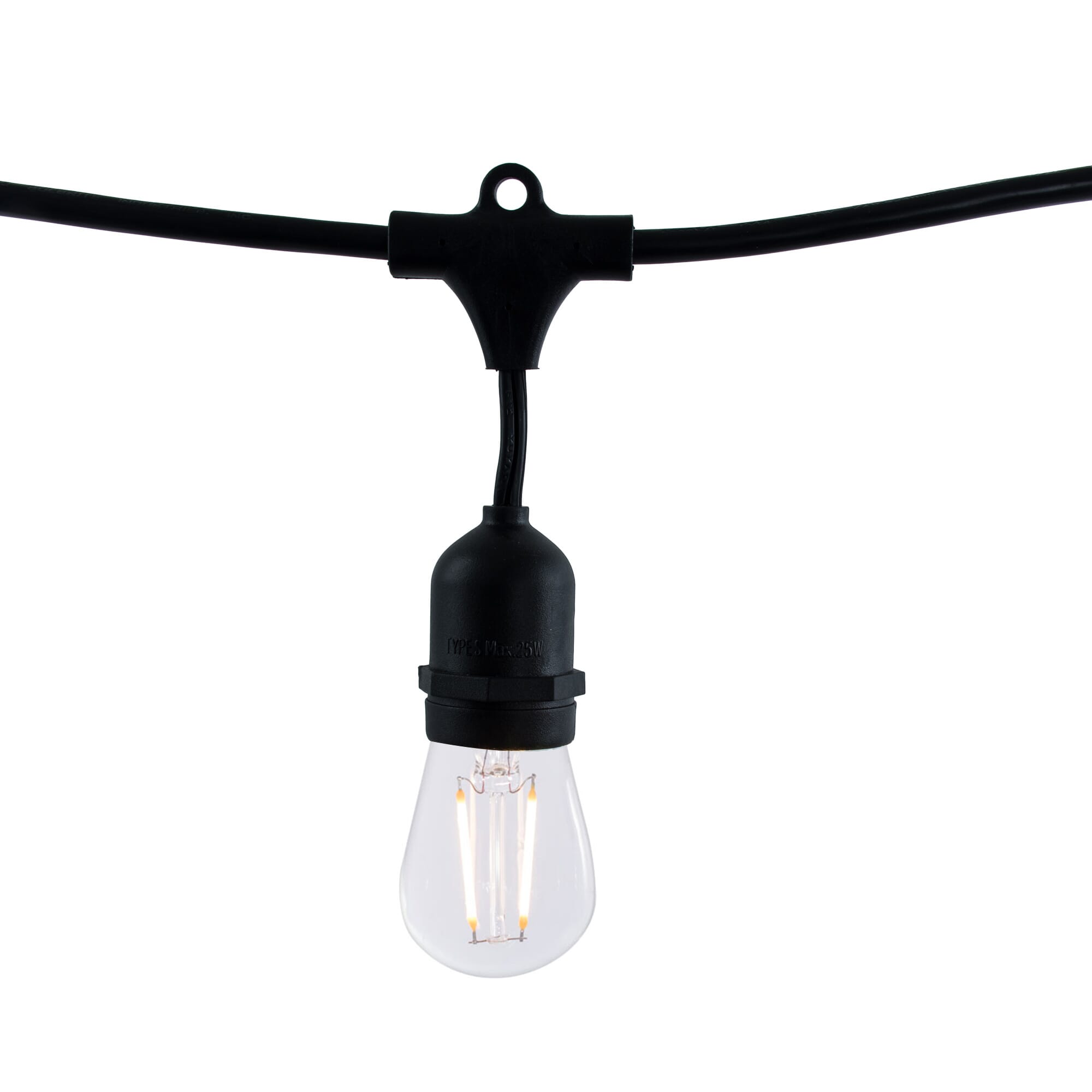 Bulbrite Fixtures String Light Kit in Black with Medium Bulbs