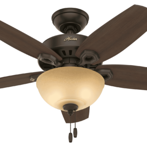 Hunter Builder 2-Light 42" Indoor Ceiling Fan in New Bronze