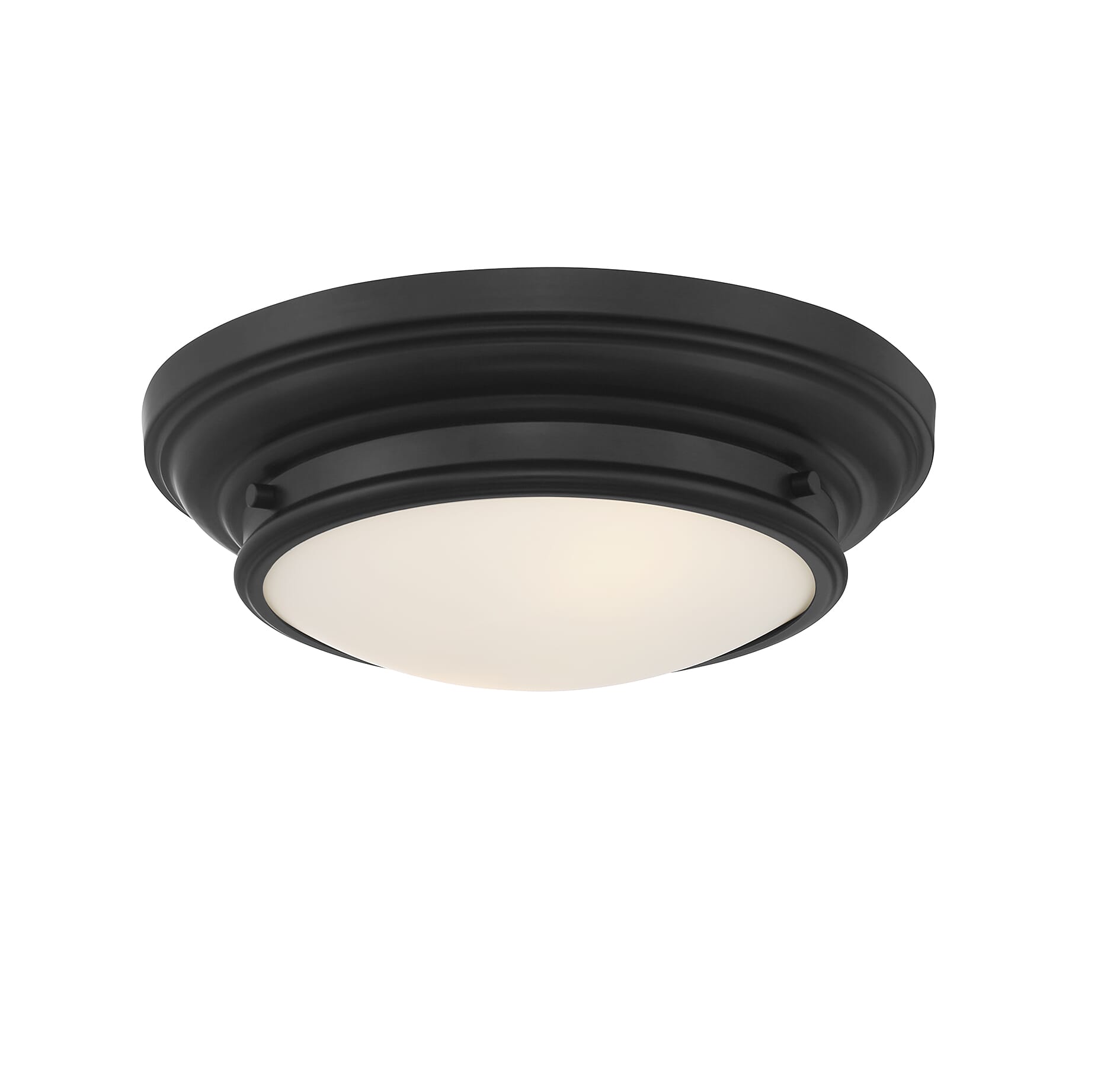 Trade Winds Granger 2-Light Ceiling Light in Matte Black