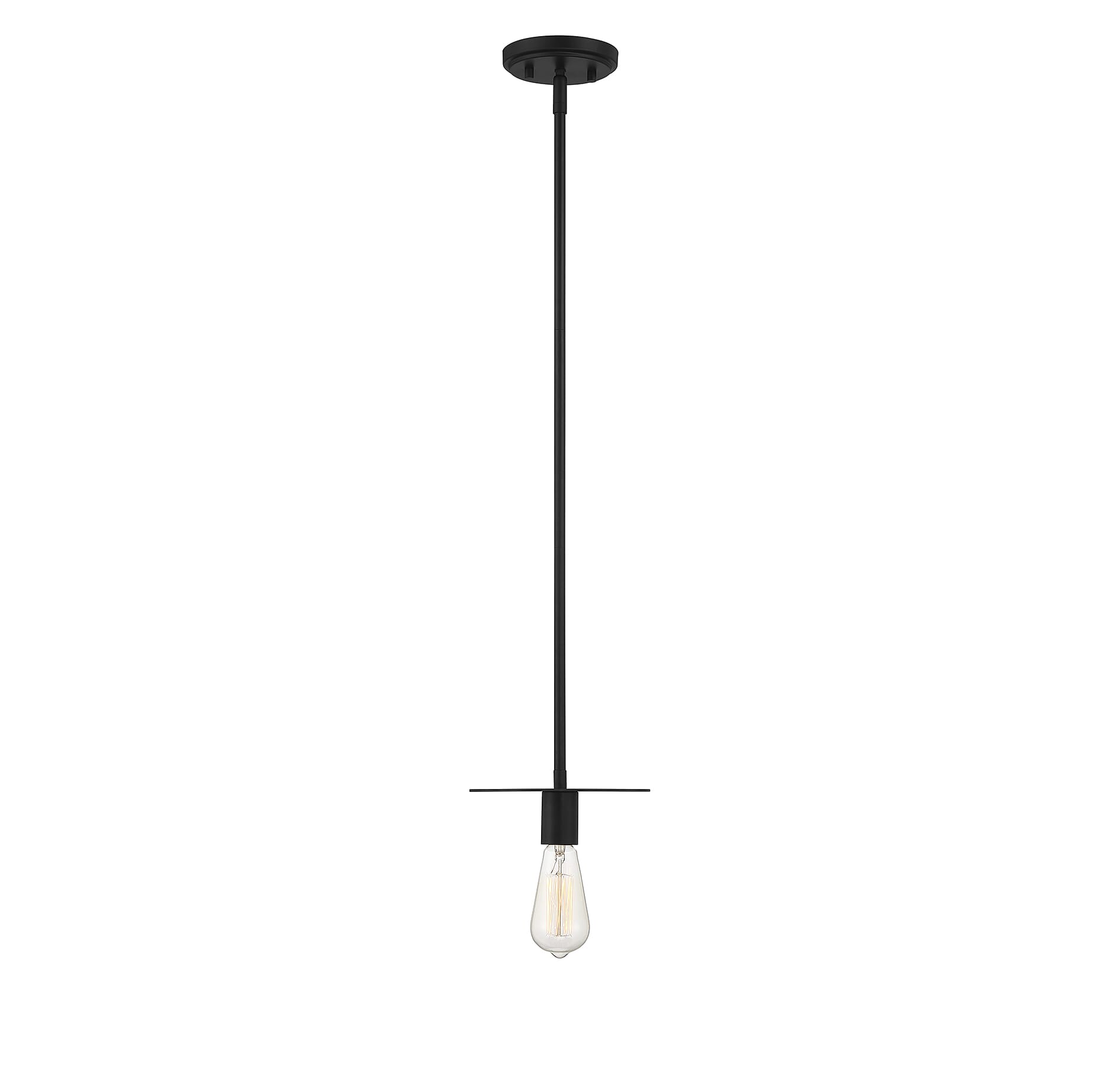 Trade Winds Colin Pendant Light in Black